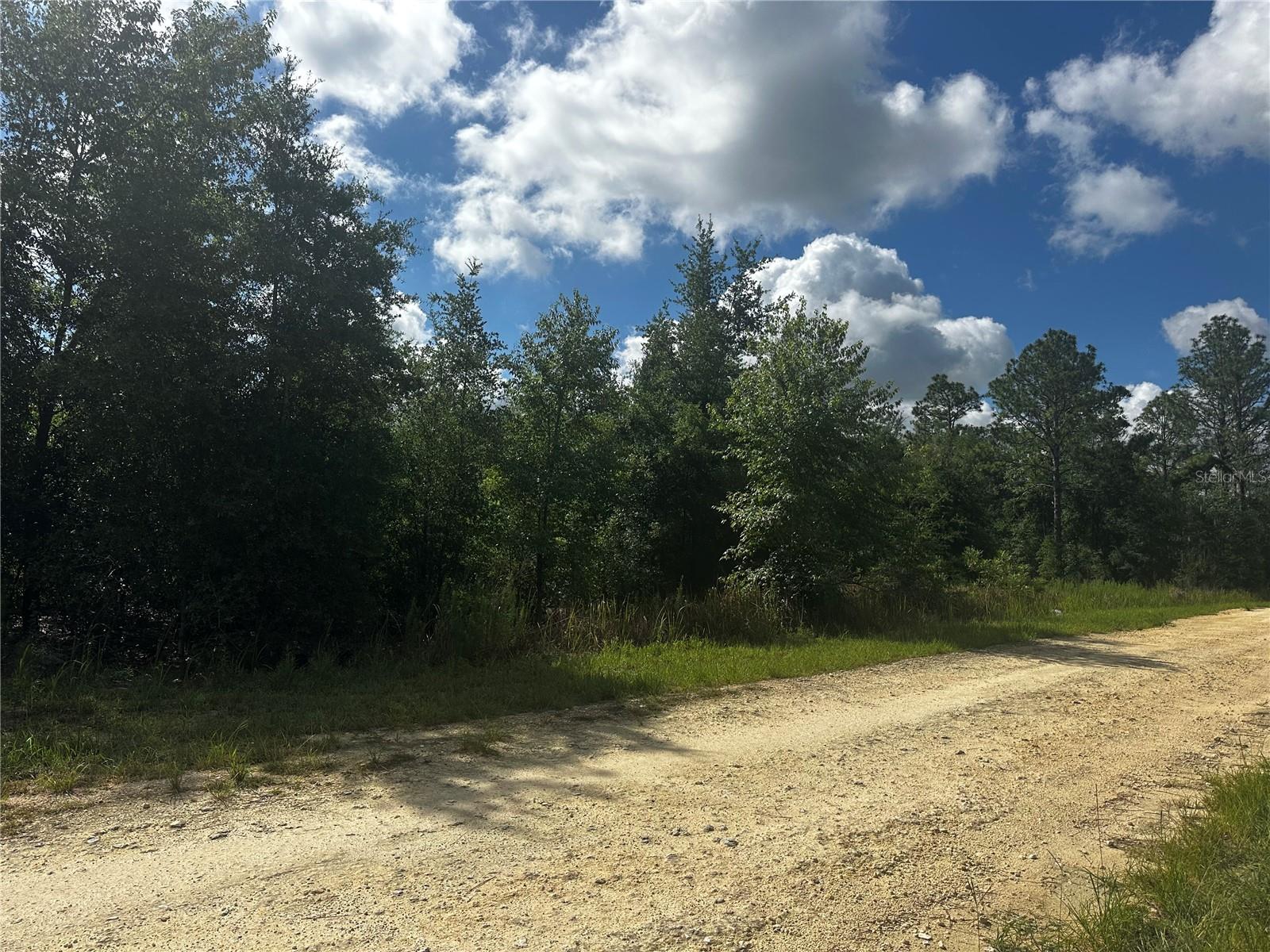 Land at 2499 SW 143RD CT, OCALA, photo 7 of 21