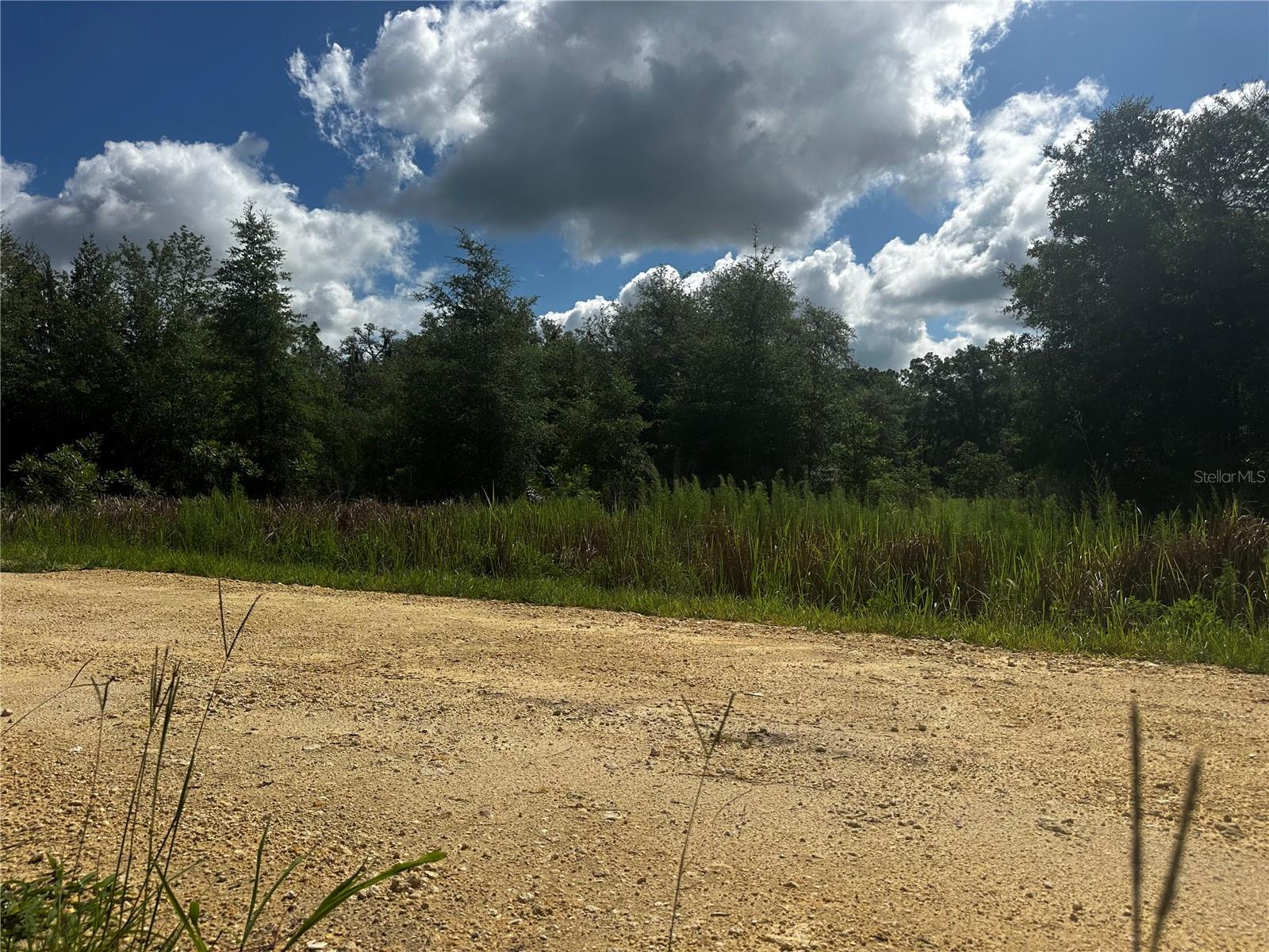 Land at 2499 SW 143RD CT, OCALA, photo 8 of 21