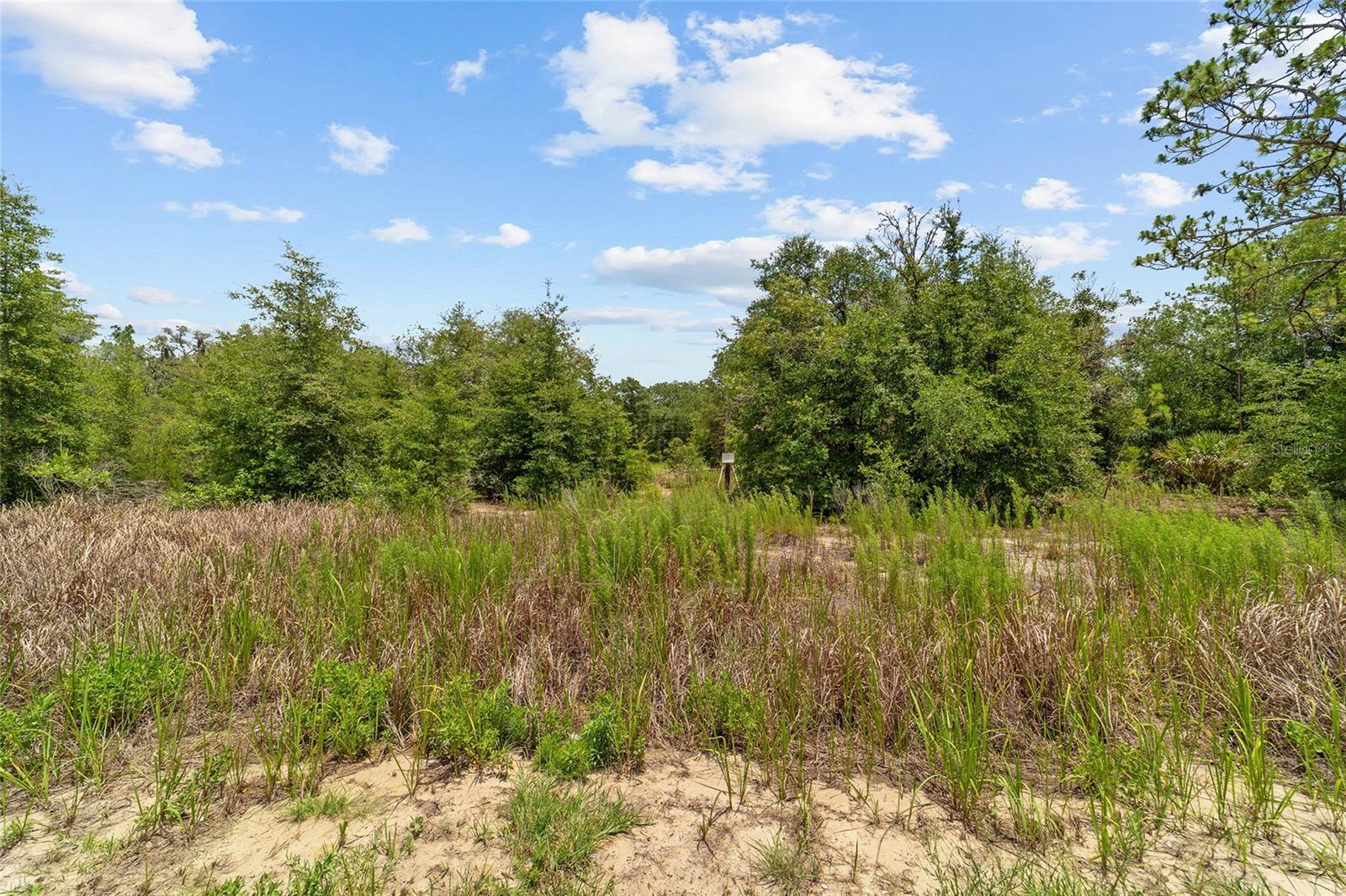 Vacant Land - 2499 SW 143RD CT, OCALA
