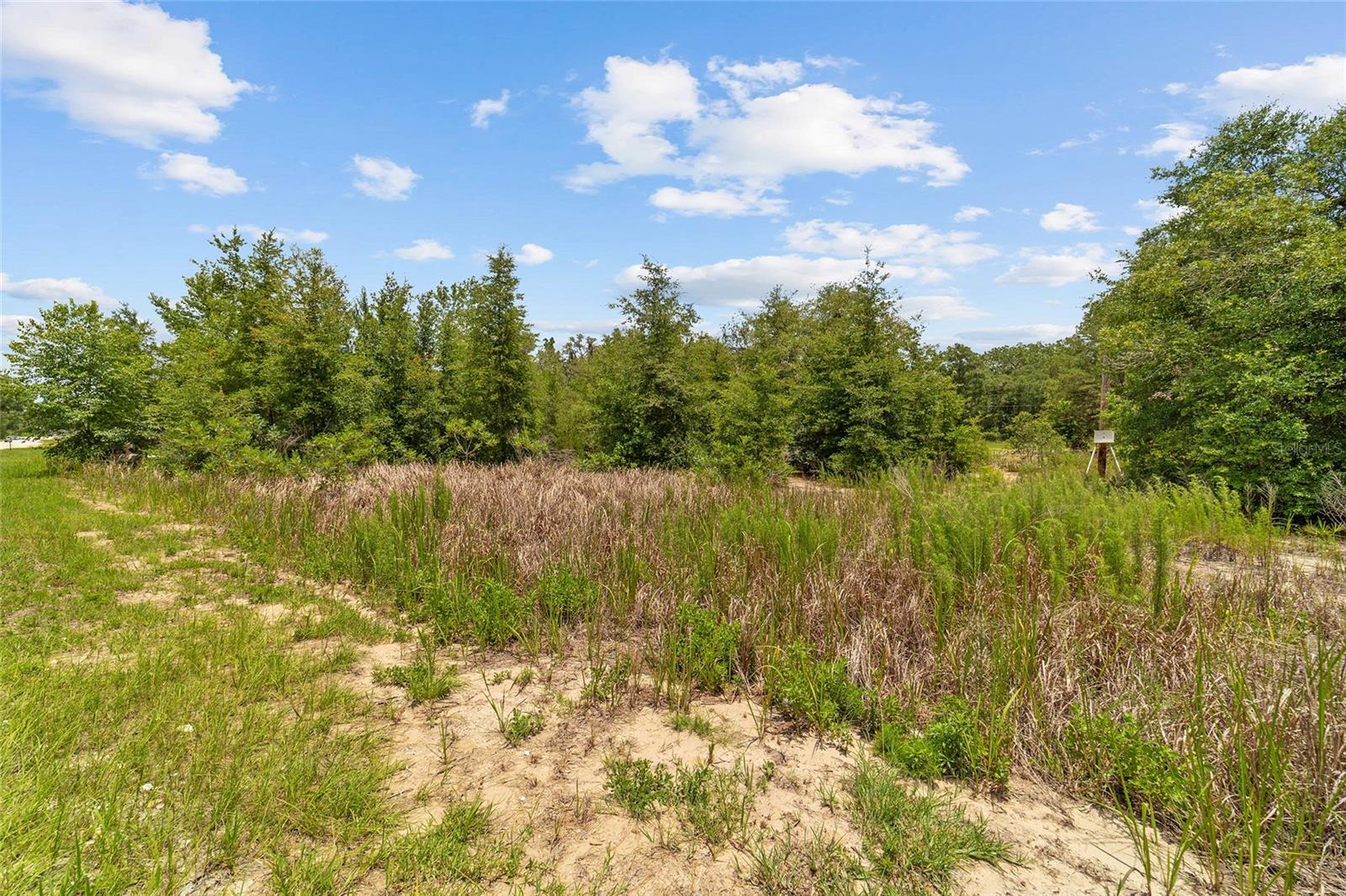 Land at 2499 SW 143RD CT, OCALA, photo 9 of 21
