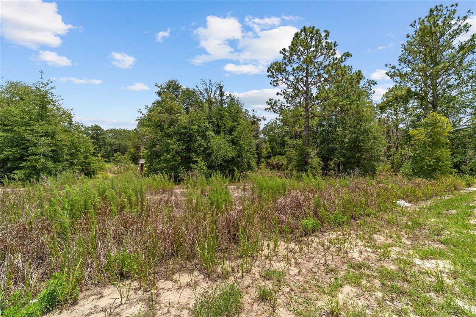 Land at 2499 SW 143RD CT, OCALA, photo 10 of 21