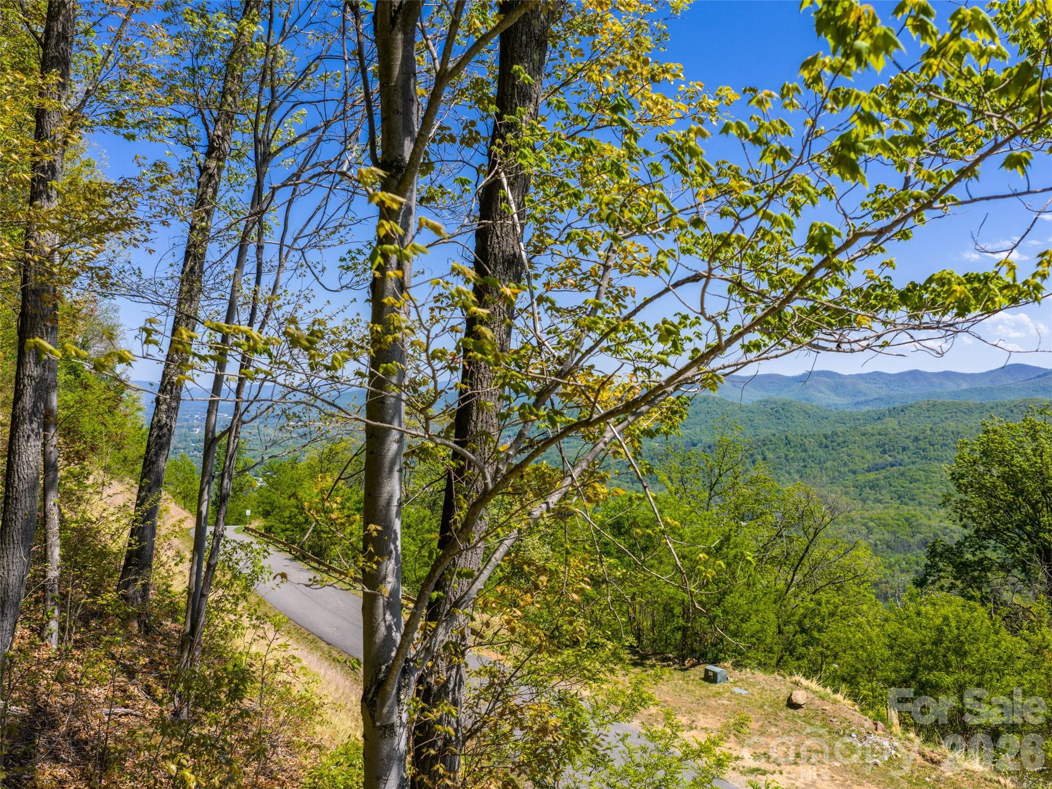 Lot at 0000 Lovebird Lane, Candler, photo 6 of 20