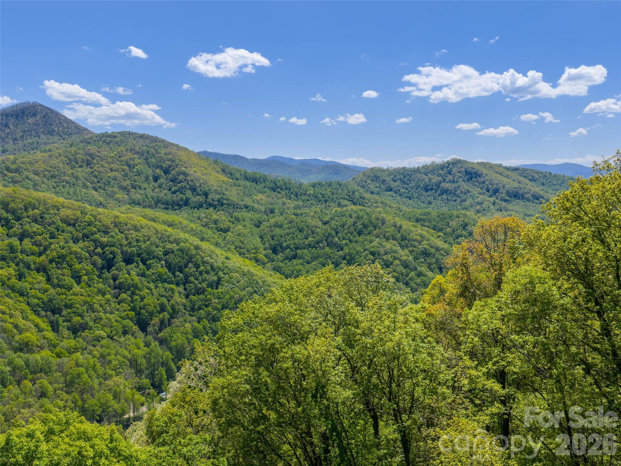 Lot at 0000 Lovebird Lane, Candler, photo 15 of 20