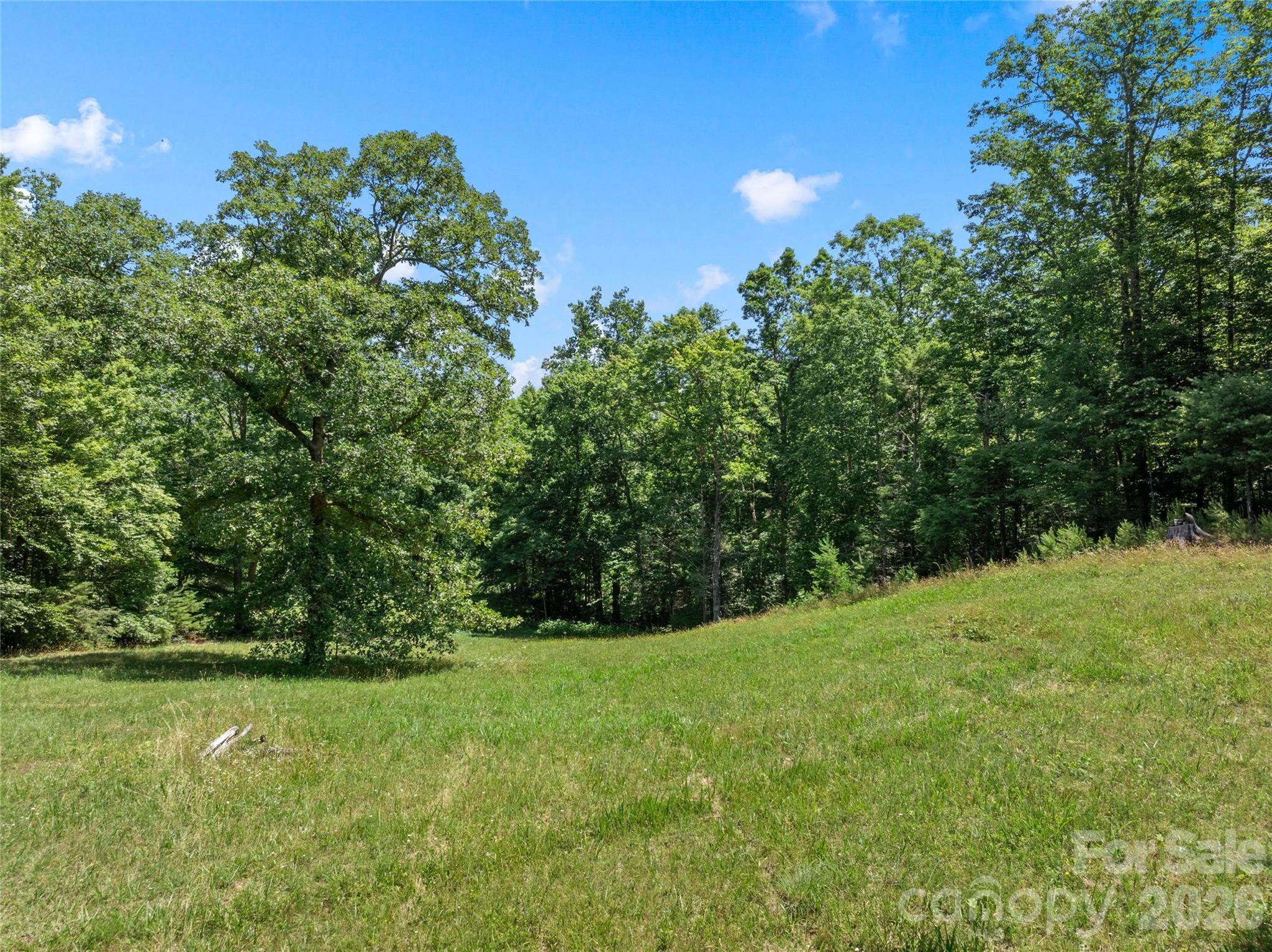 Single Family Residence at 563 Burgess Road, Mill Spring, photo 25 of 42