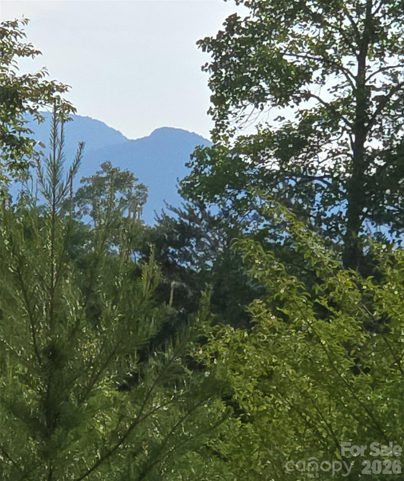 Possible views of White Oak with clearing on additional acreage. - 00 Misery Ridge Trail, Mill Spring