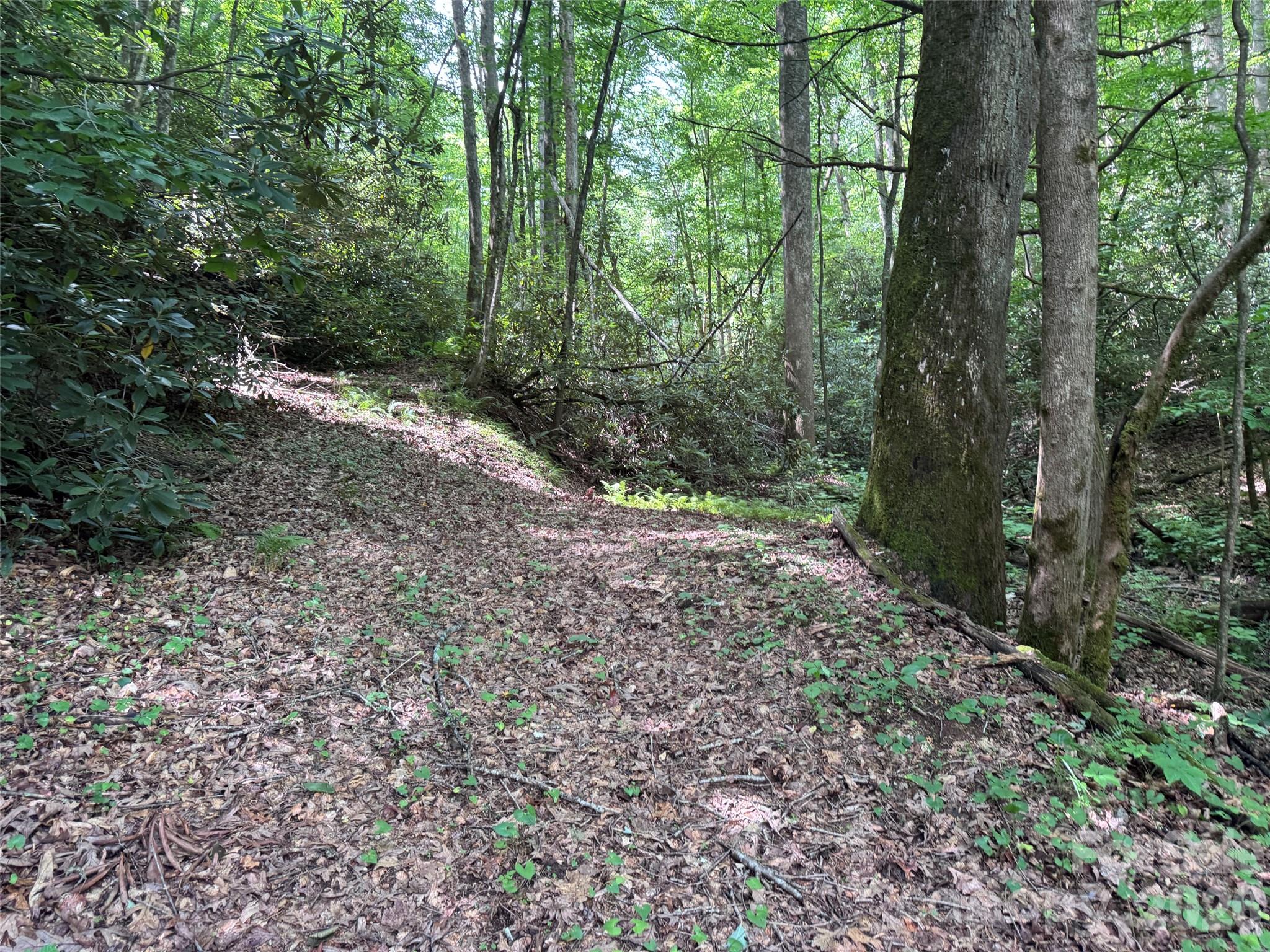 Lot at 10A Reserve Road, Brevard, photo 2 of 33