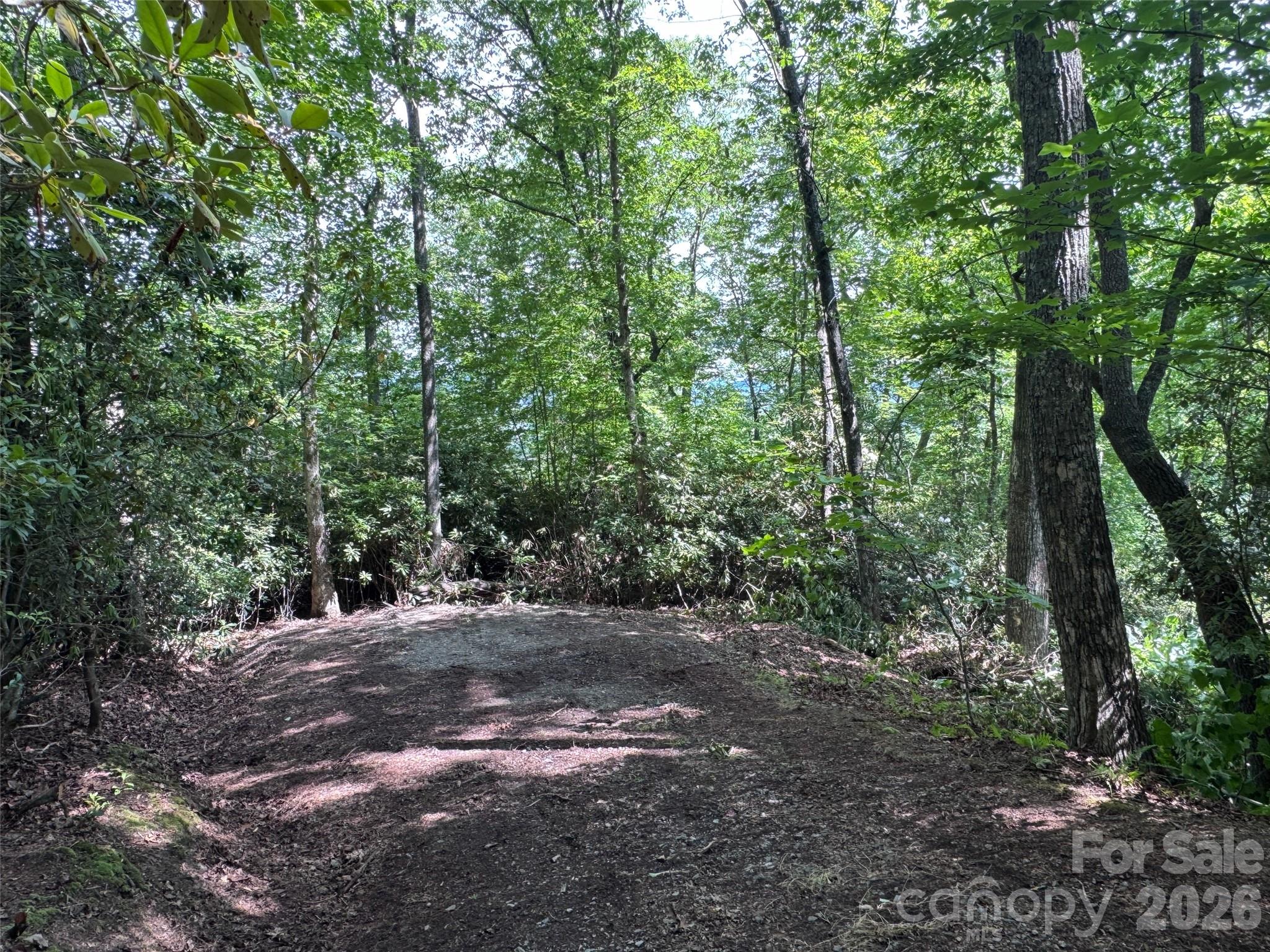 Lot at 10A Reserve Road, Brevard, photo 3 of 33