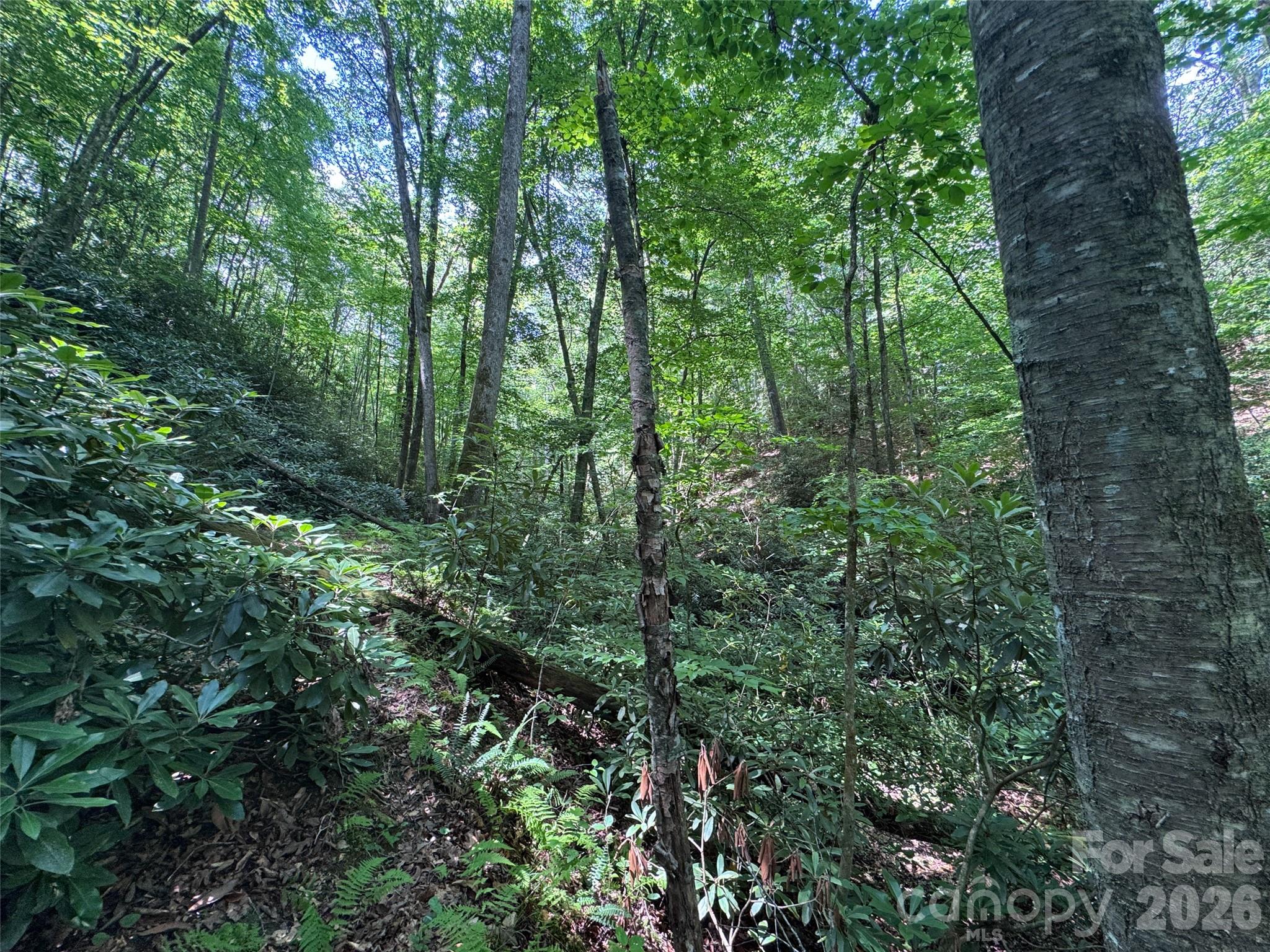 Lot at 10A Reserve Road, Brevard, photo 6 of 33
