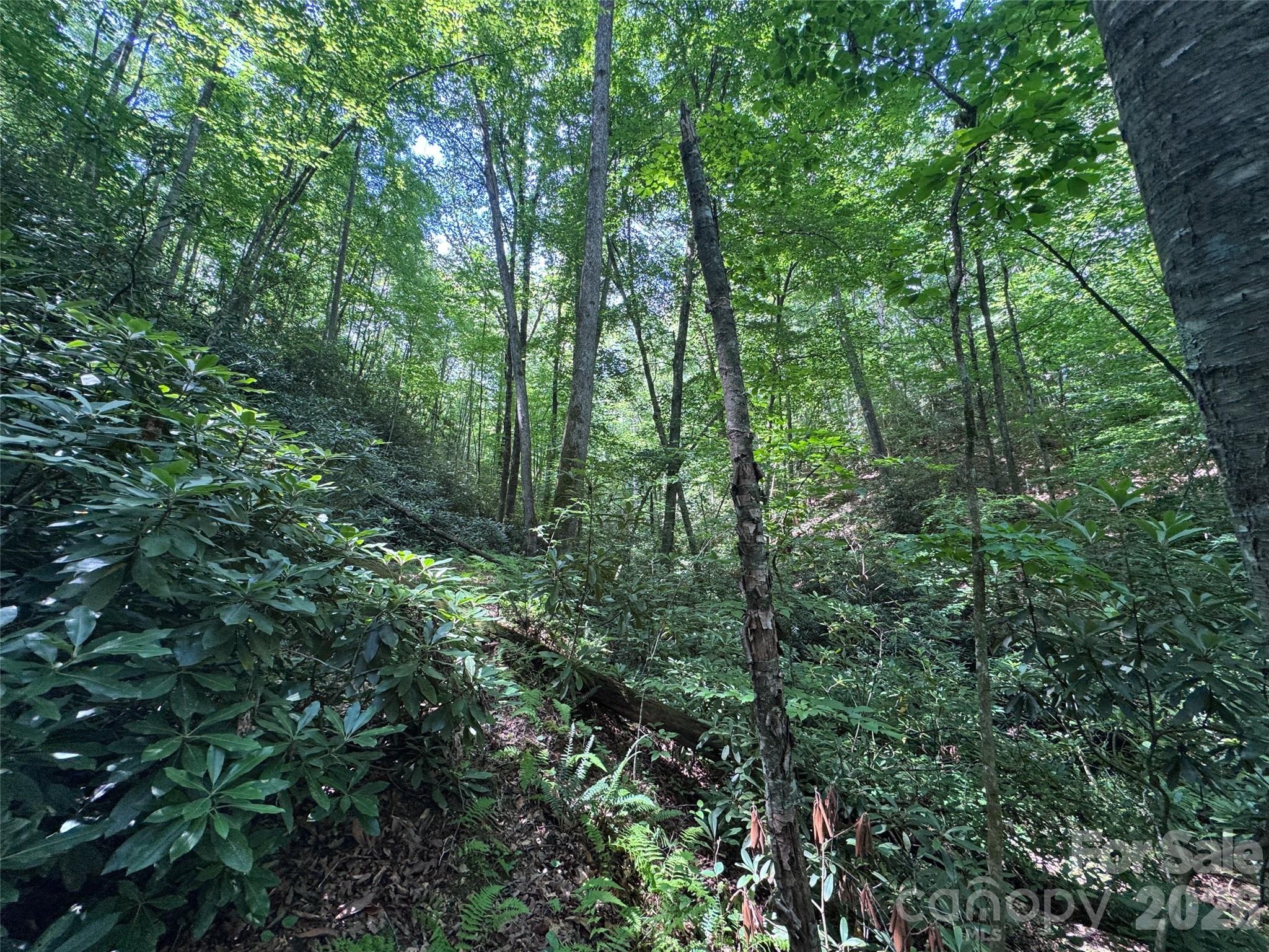 Lot at 10A Reserve Road, Brevard, photo 7 of 33