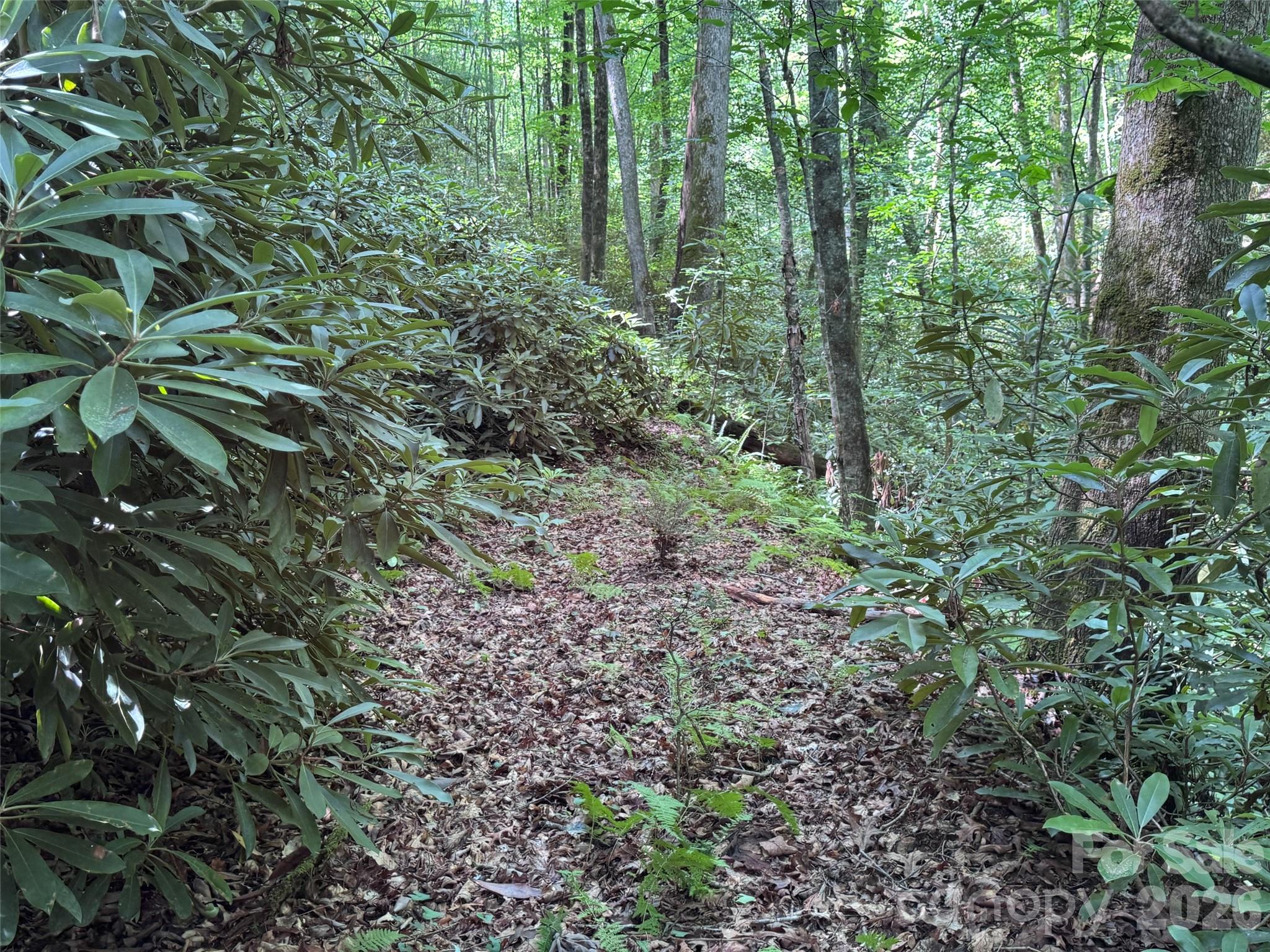 Lot at 10A Reserve Road, Brevard, photo 9 of 33
