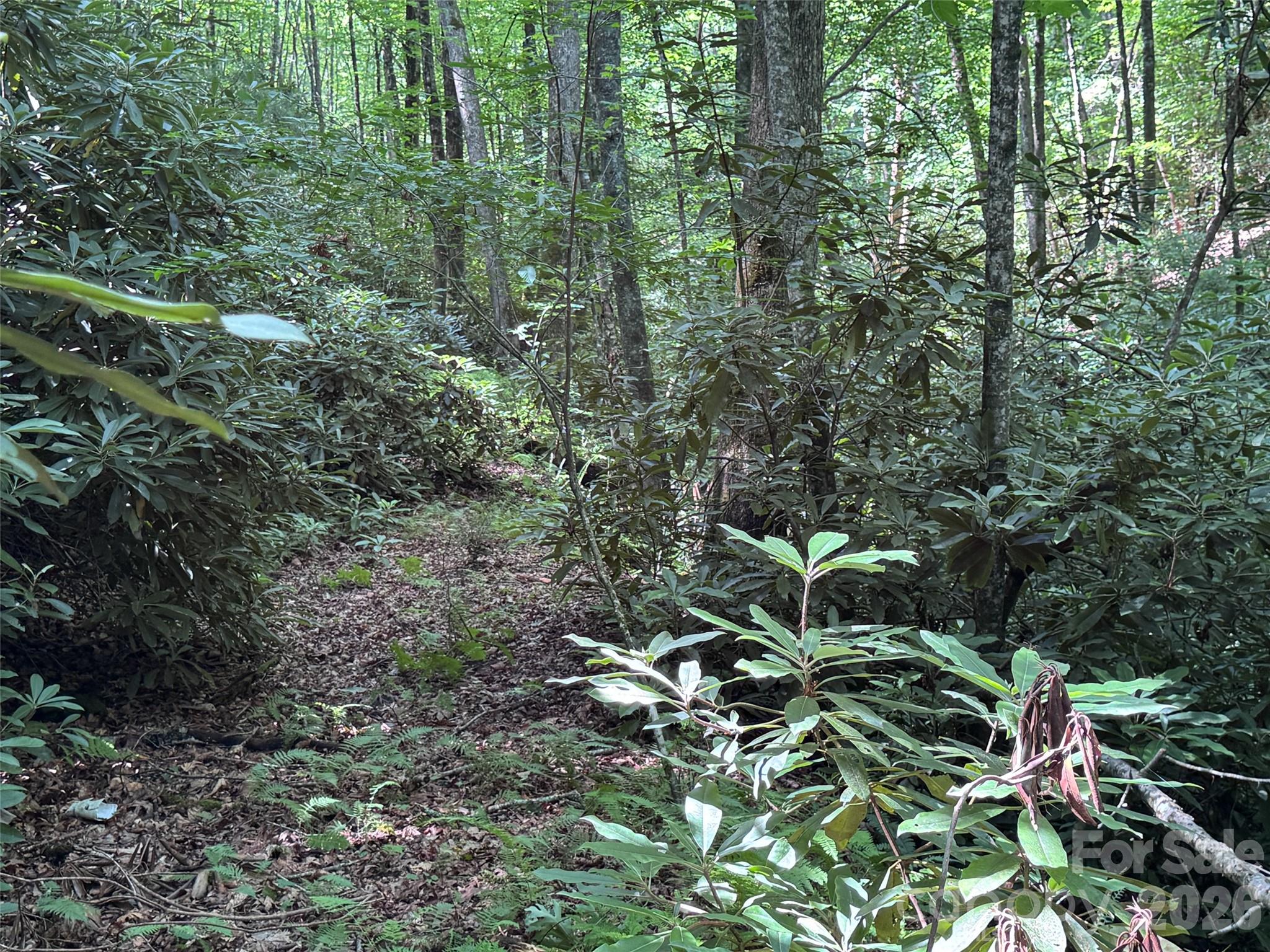Lot at 10A Reserve Road, Brevard, photo 10 of 33