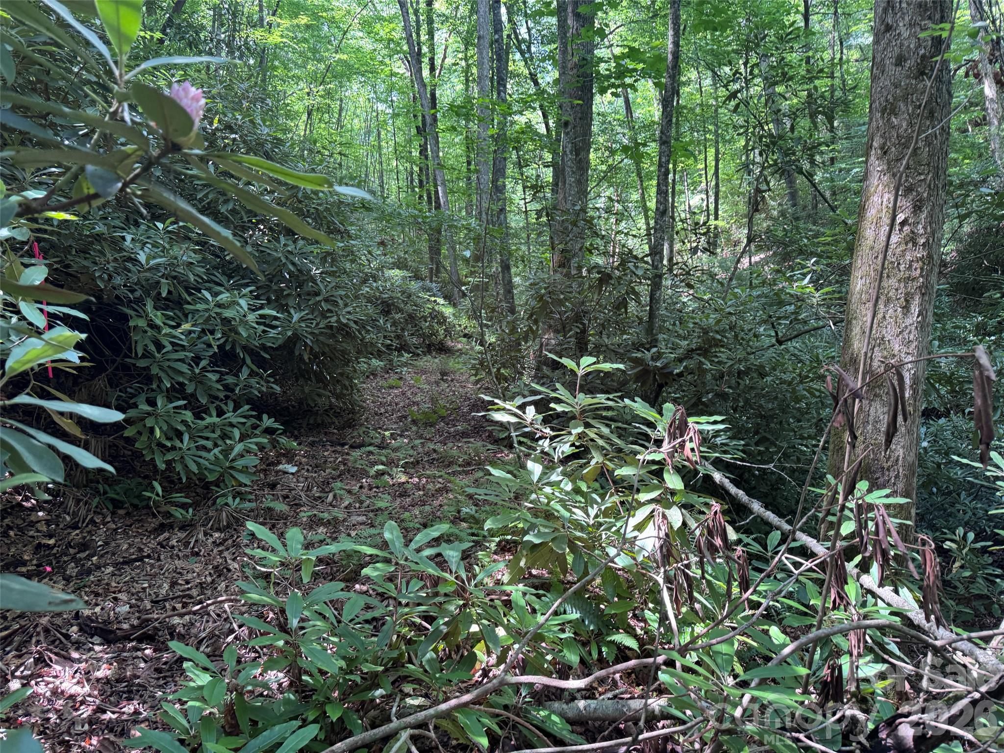Lot at 10A Reserve Road, Brevard, photo 11 of 33