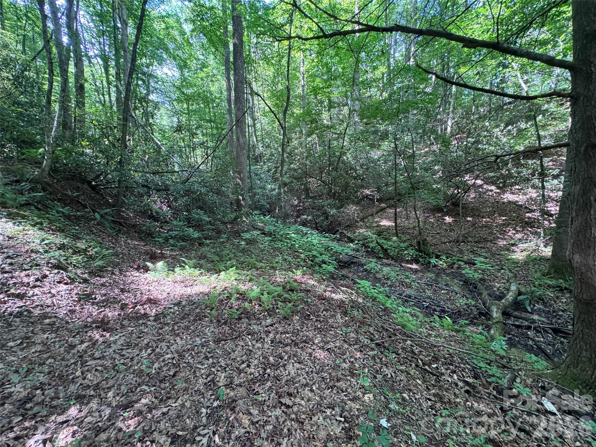 Lot at 10A Reserve Road, Brevard, photo 15 of 33
