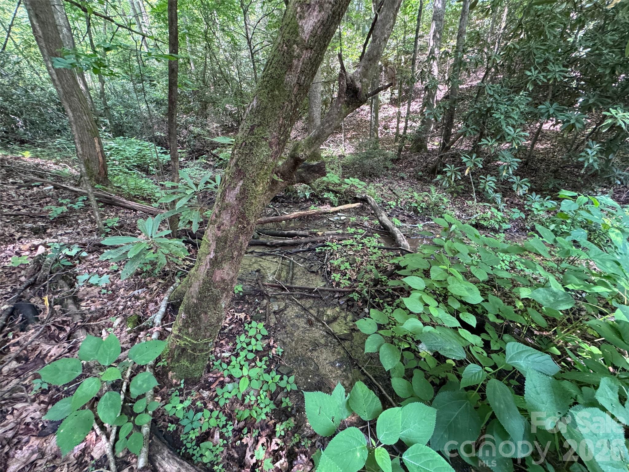Lot at 10A Reserve Road, Brevard, photo 16 of 33