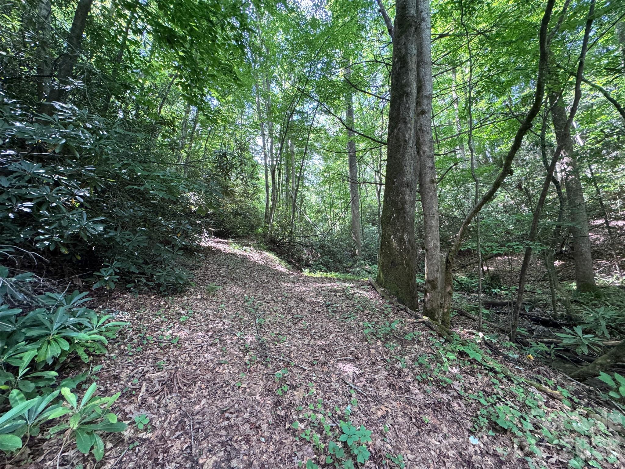 Lot at 10A Reserve Road, Brevard, photo 17 of 33