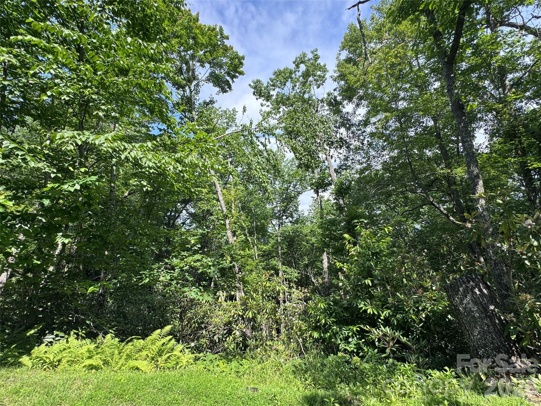 Lot at 10A Reserve Road, Brevard, photo 18 of 33