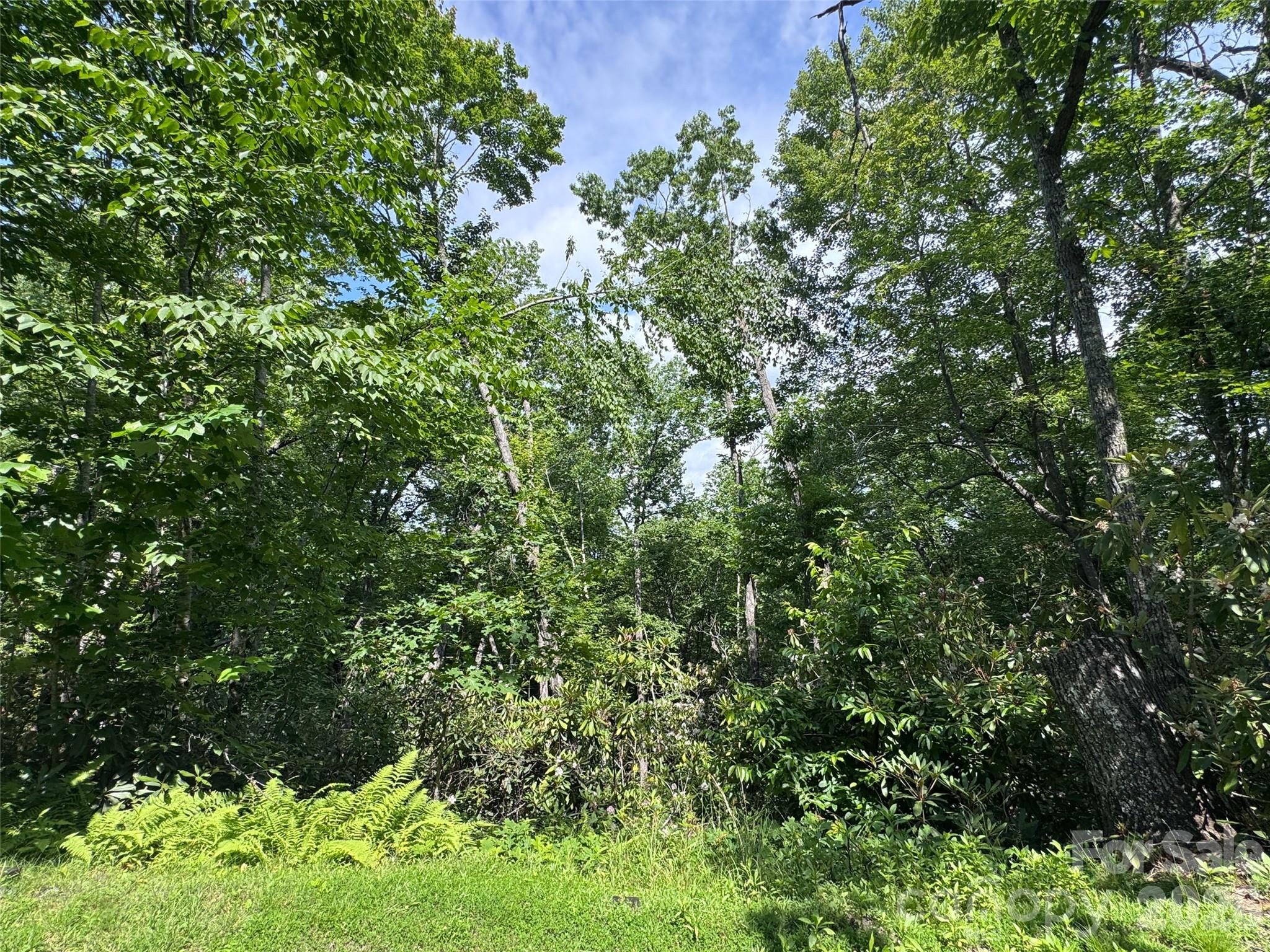 Lot at 10A Reserve Road, Brevard, photo 19 of 33