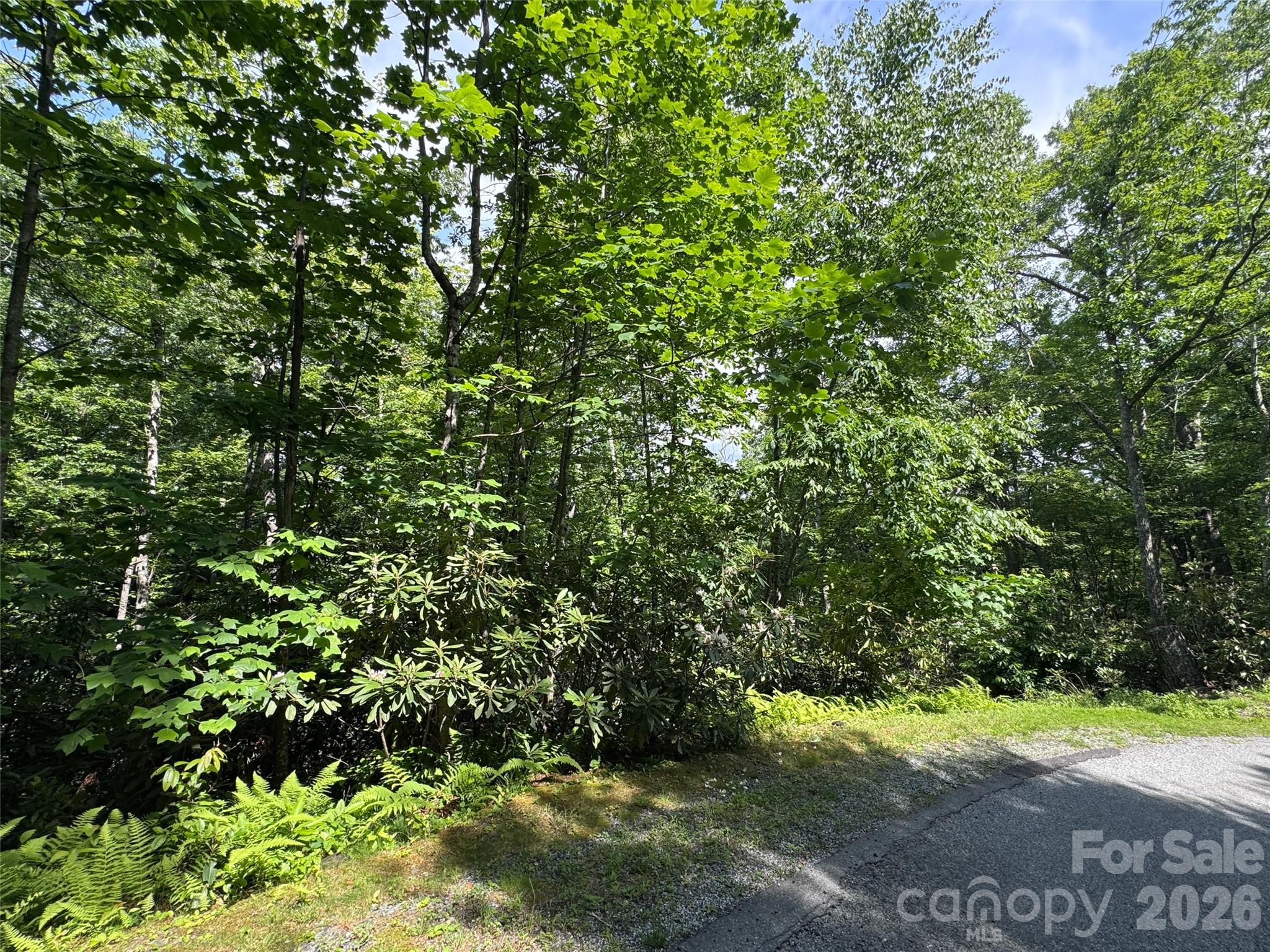 Lot at 10A Reserve Road, Brevard, photo 20 of 33