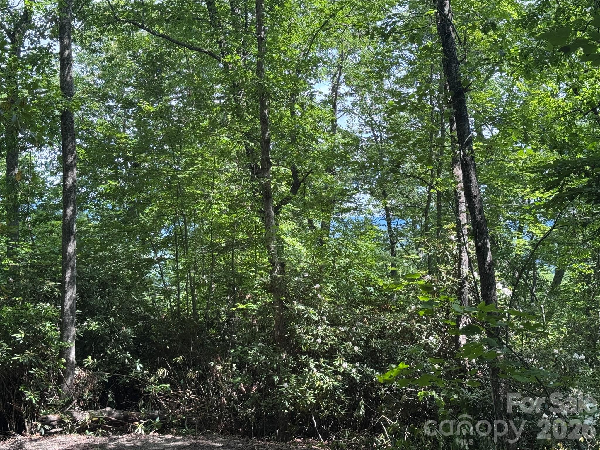 Lot at 10A Reserve Road, Brevard, photo 22 of 33