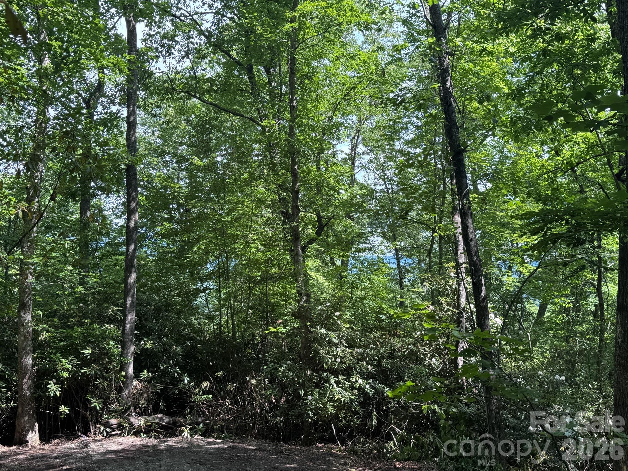 Lot at 10A Reserve Road, Brevard, photo 23 of 33