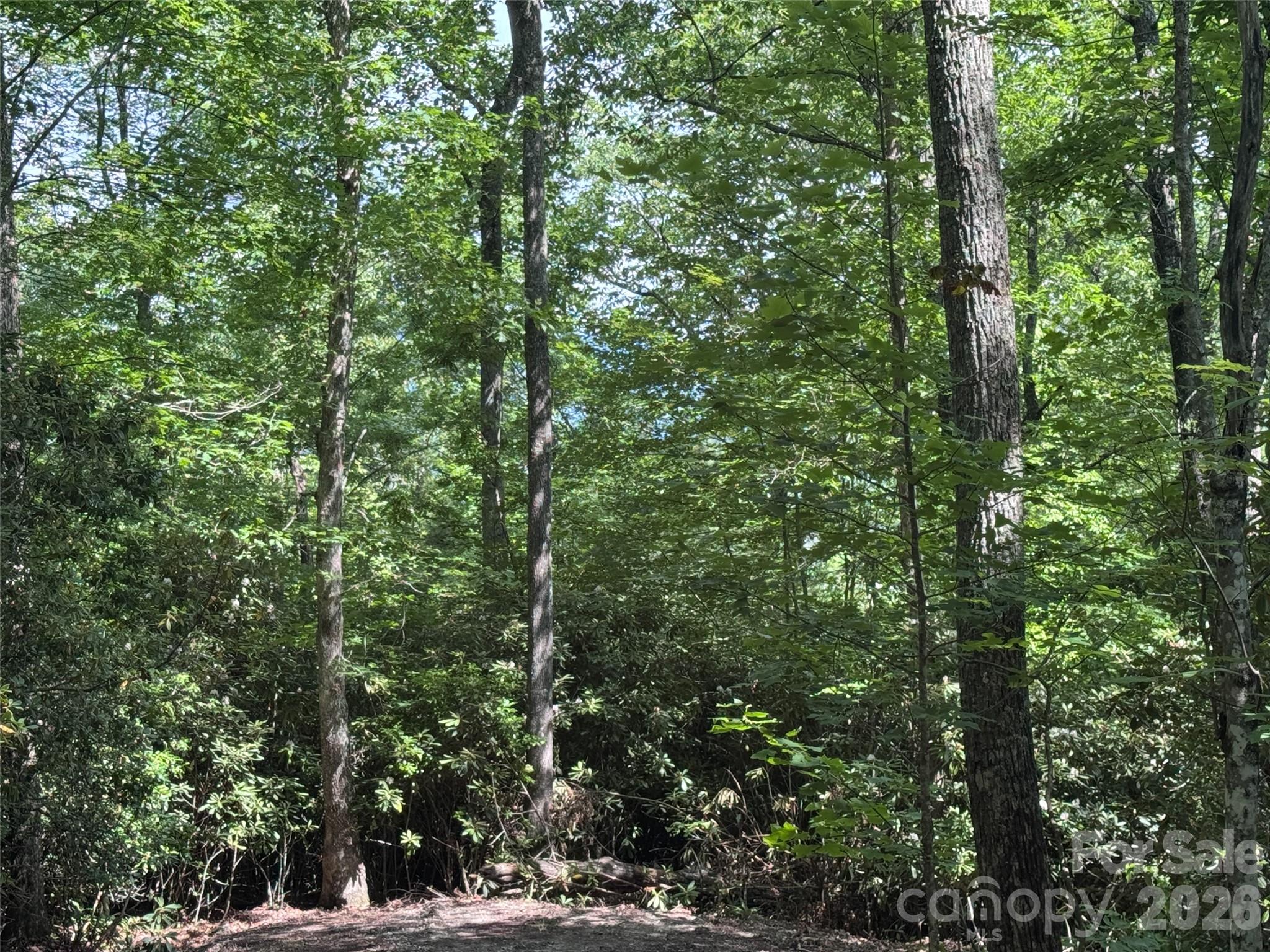 Lot at 10A Reserve Road, Brevard, photo 25 of 33