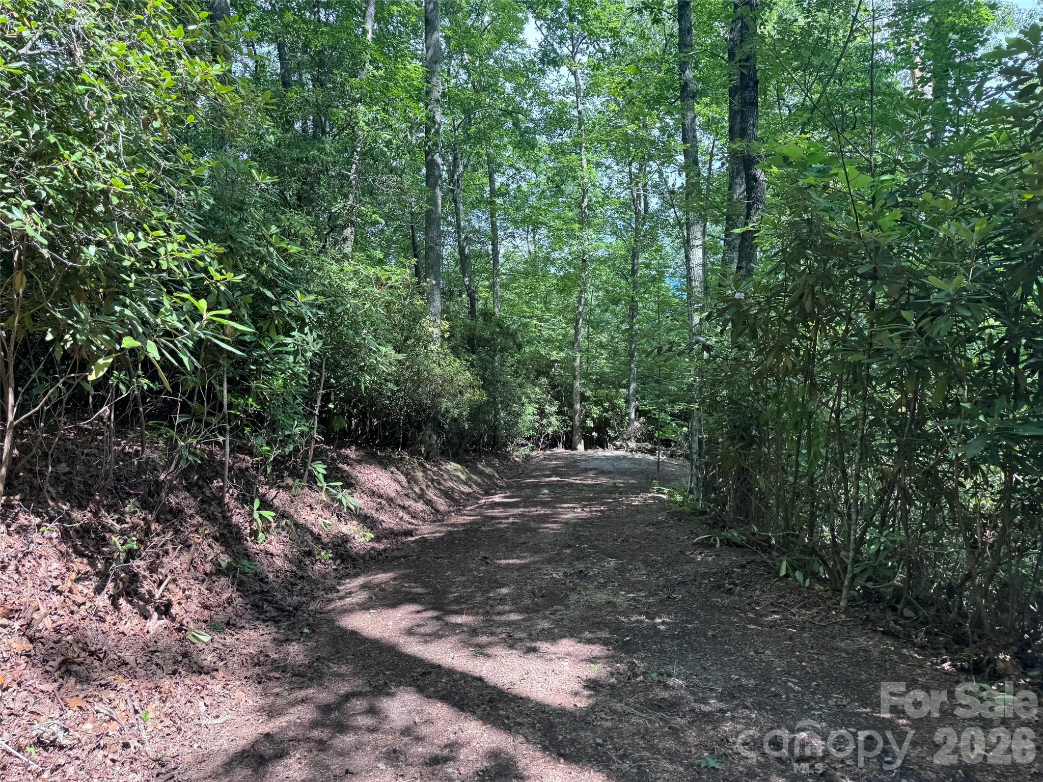 Lot at 10A Reserve Road, Brevard, photo 27 of 33