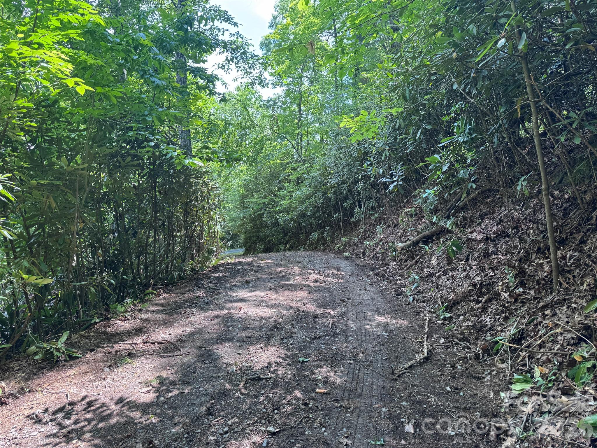 Lot at 10A Reserve Road, Brevard, photo 29 of 33