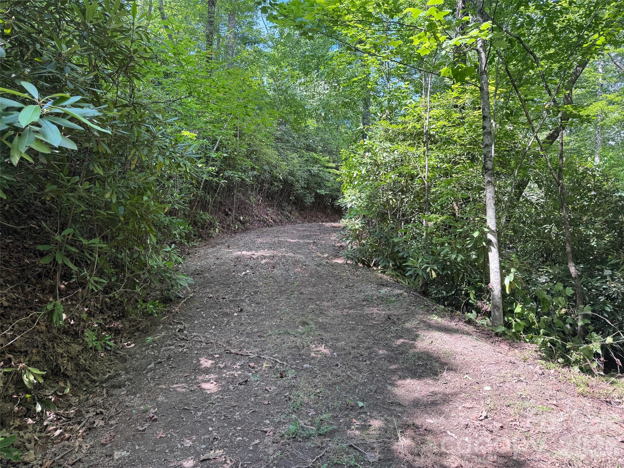 Lot at 10A Reserve Road, Brevard, photo 31 of 33