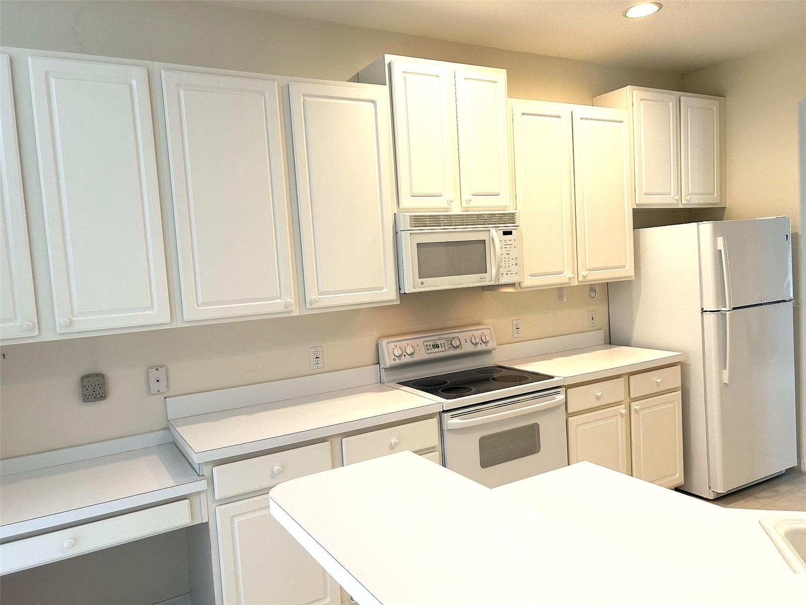 Single Family Residence at 11752 WAYSIDE WILLOW CT, HUDSON, photo 13 of 39