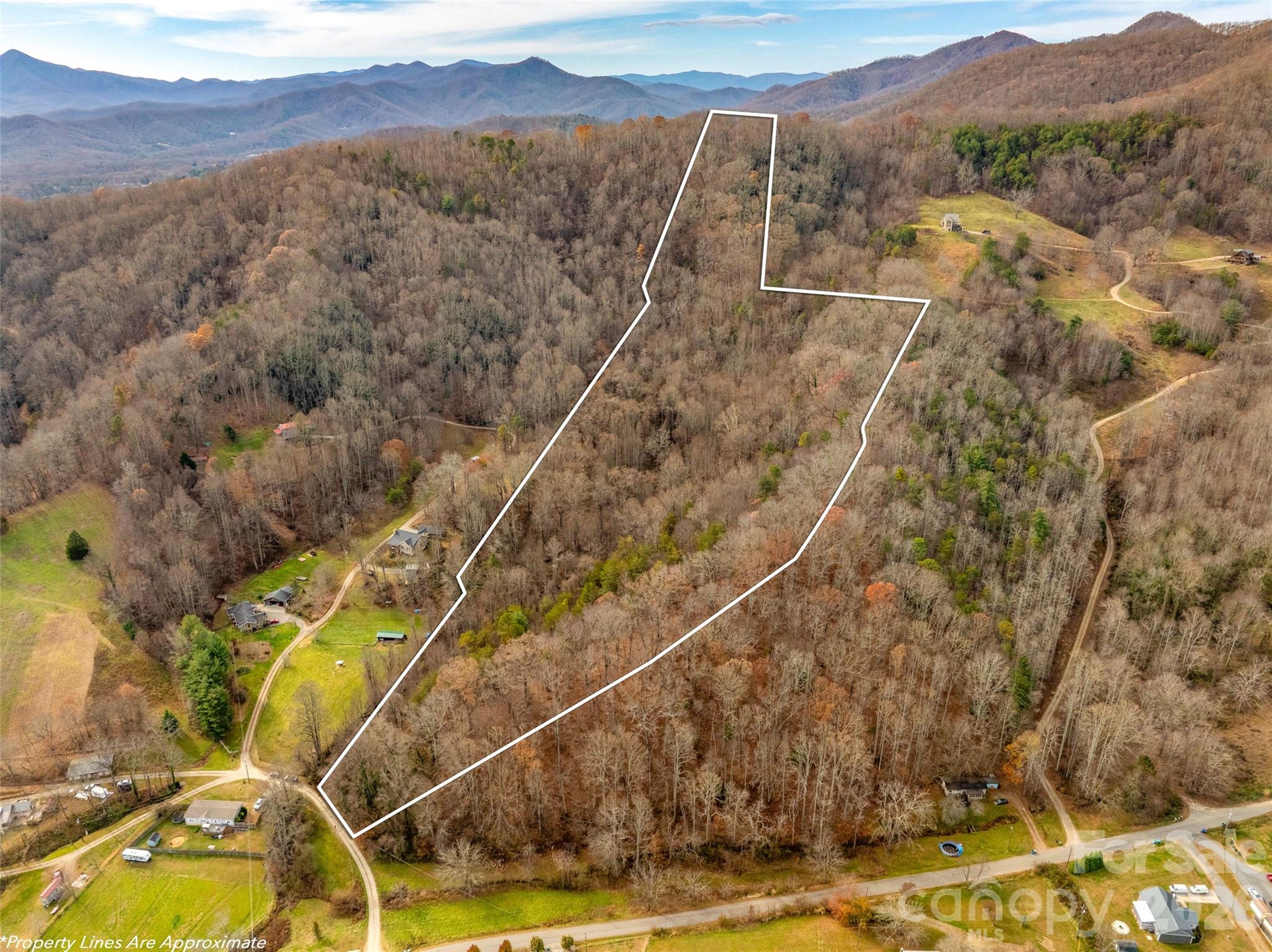 All of this sits just minutes from shopping, dining, the Blue Ridge Parkway, and the best of what the area offers. - 99999 Bay Horse Trail, Candler