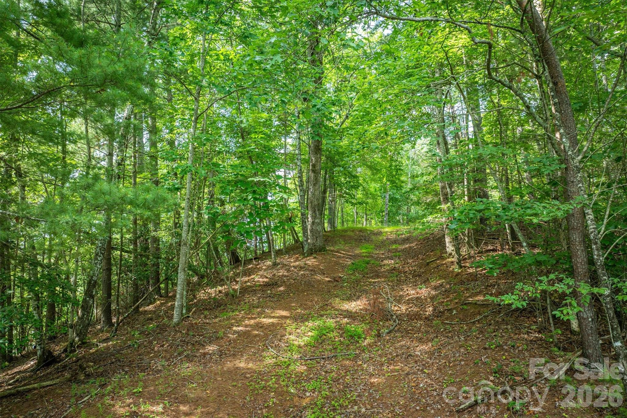 Lot at 804 Marina Drive, Nebo, photo 13 of 19