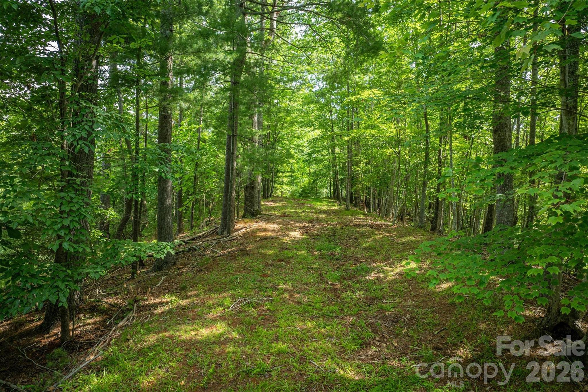 Lot at 804 Marina Drive, Nebo, photo 14 of 19