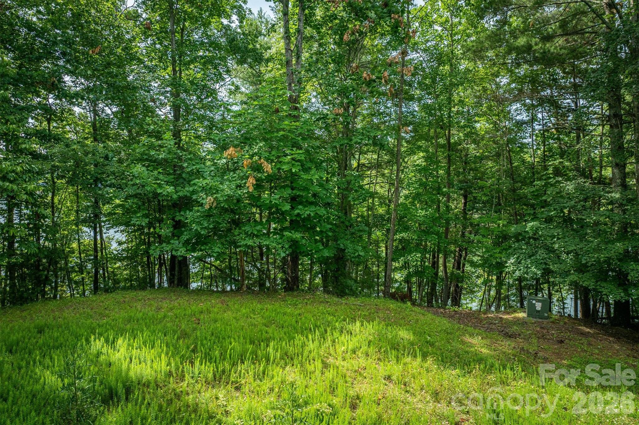 Lot at 804 Marina Drive, Nebo, photo 15 of 19