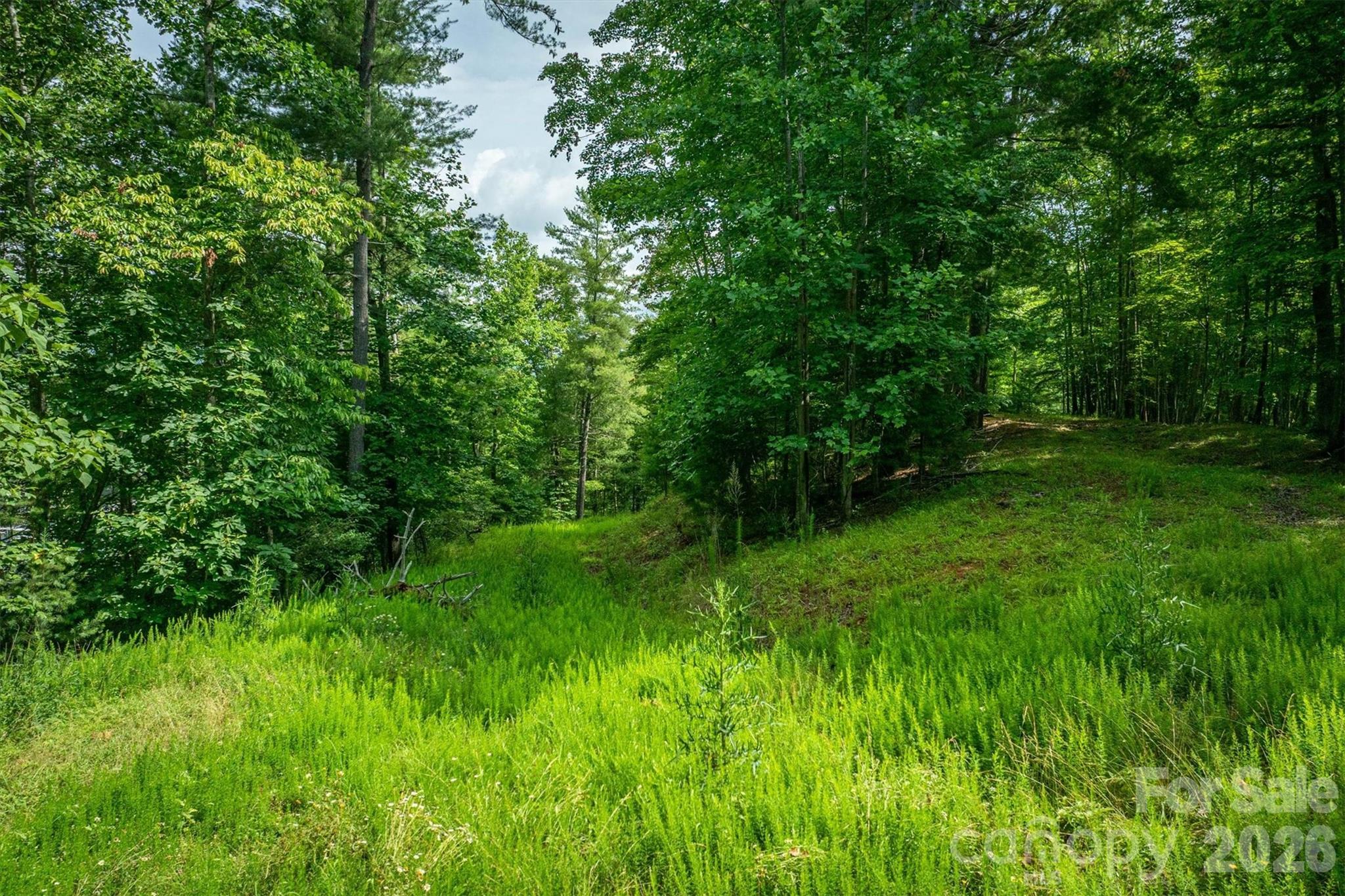 Lot at 804 Marina Drive, Nebo, photo 16 of 19