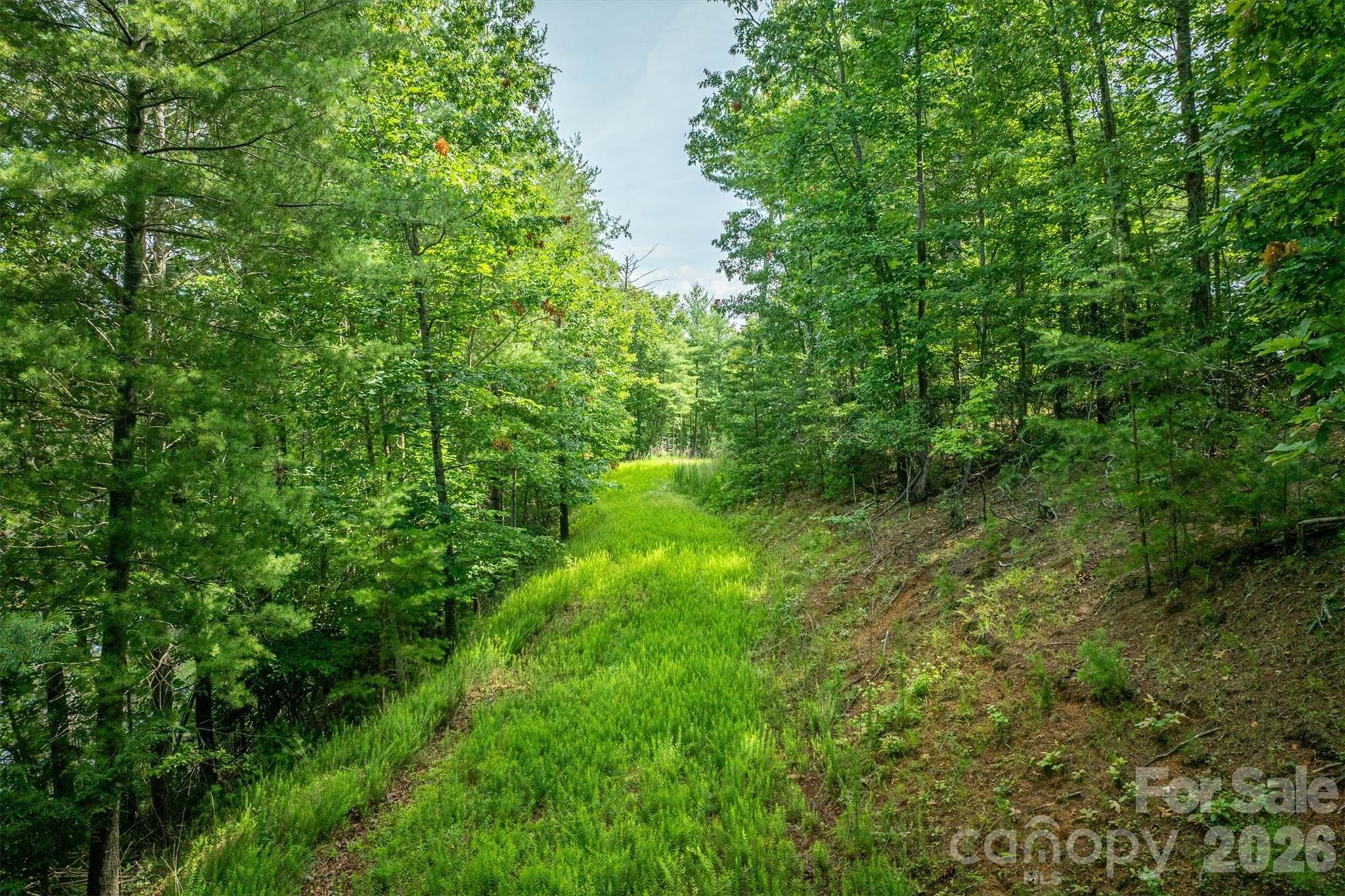 Lot at 804 Marina Drive, Nebo, photo 17 of 19