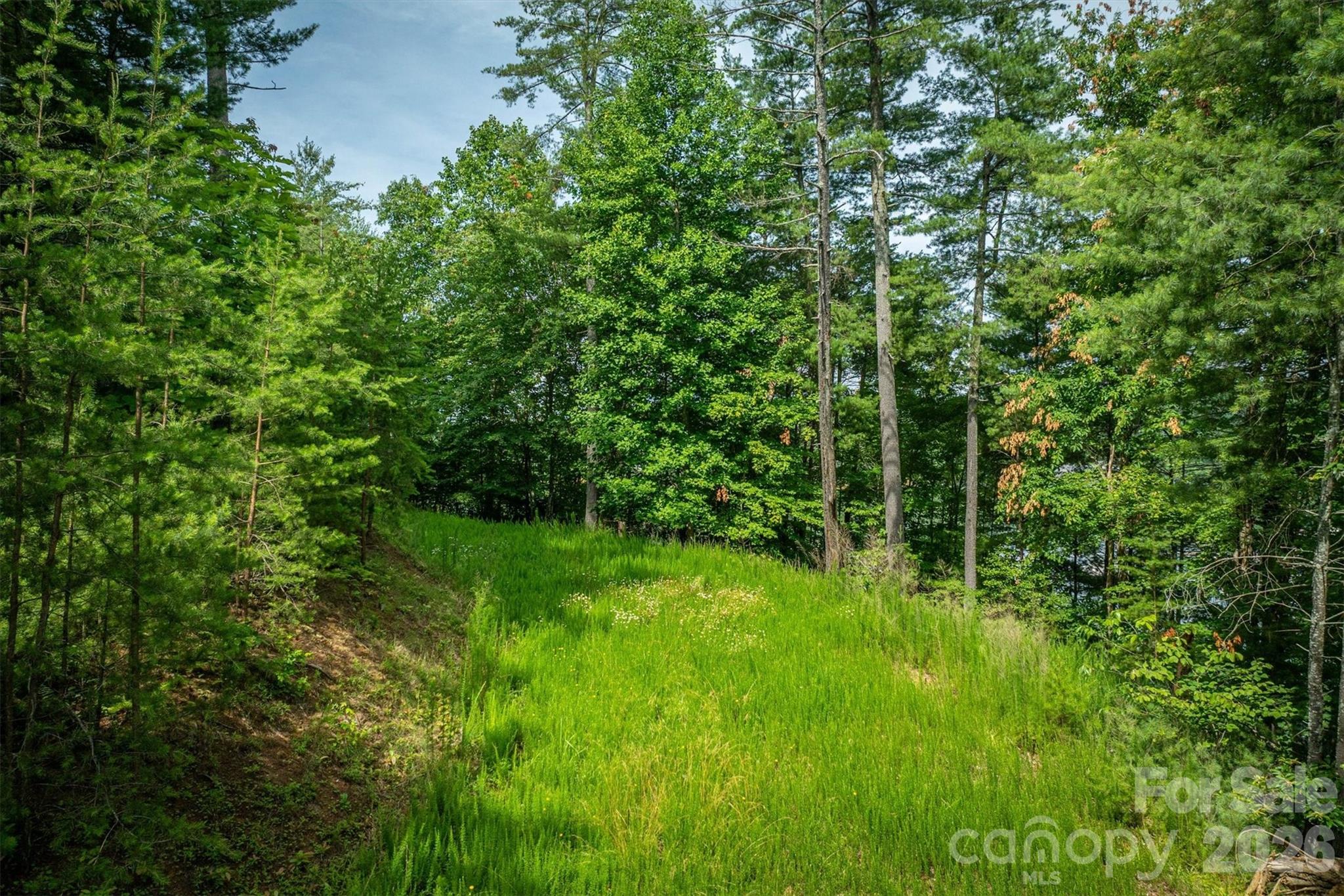 Lot at 804 Marina Drive, Nebo, photo 18 of 19