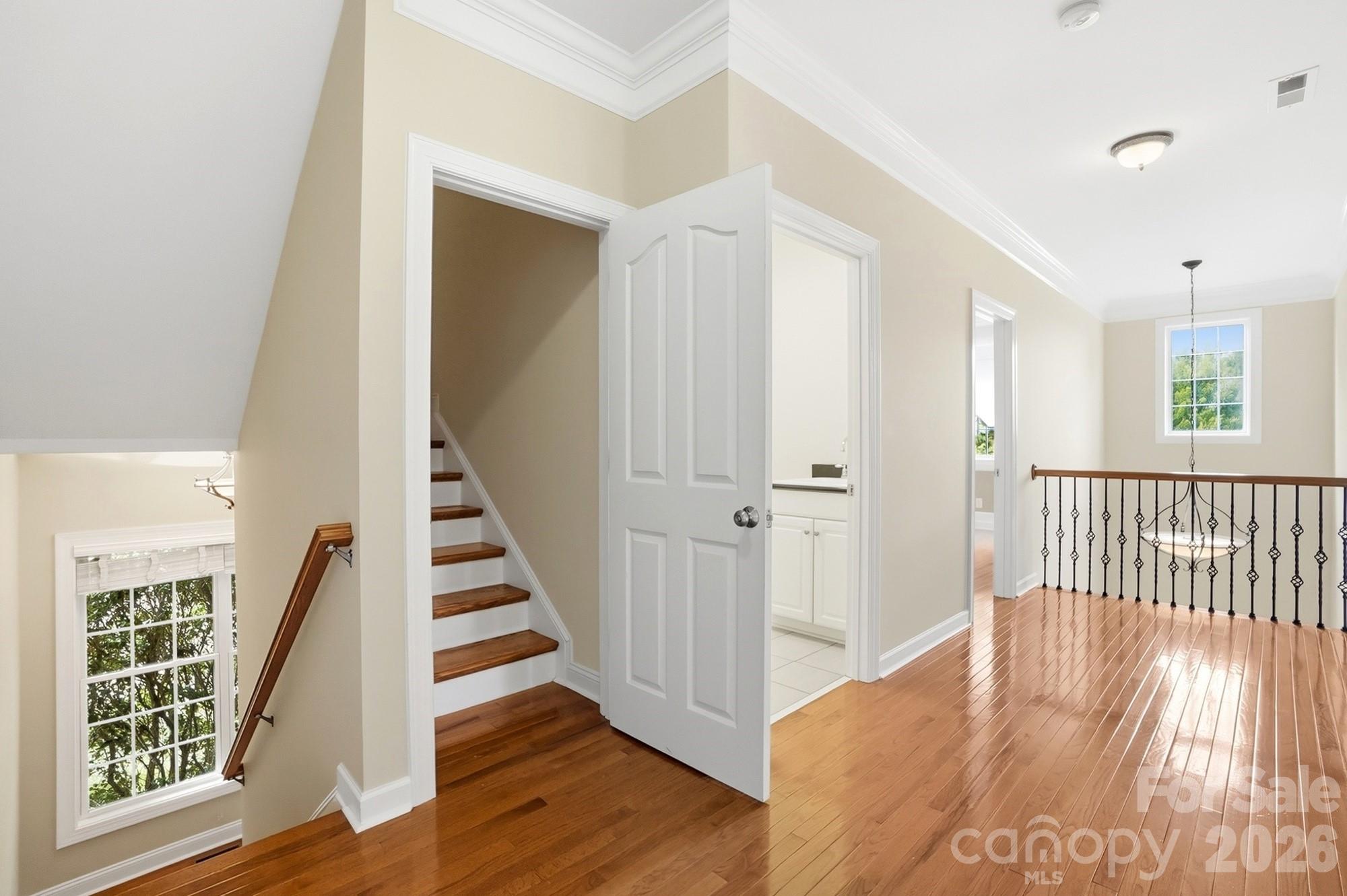 Front stair case to second floor - 507 Five Leaf Lane, Waxhaw