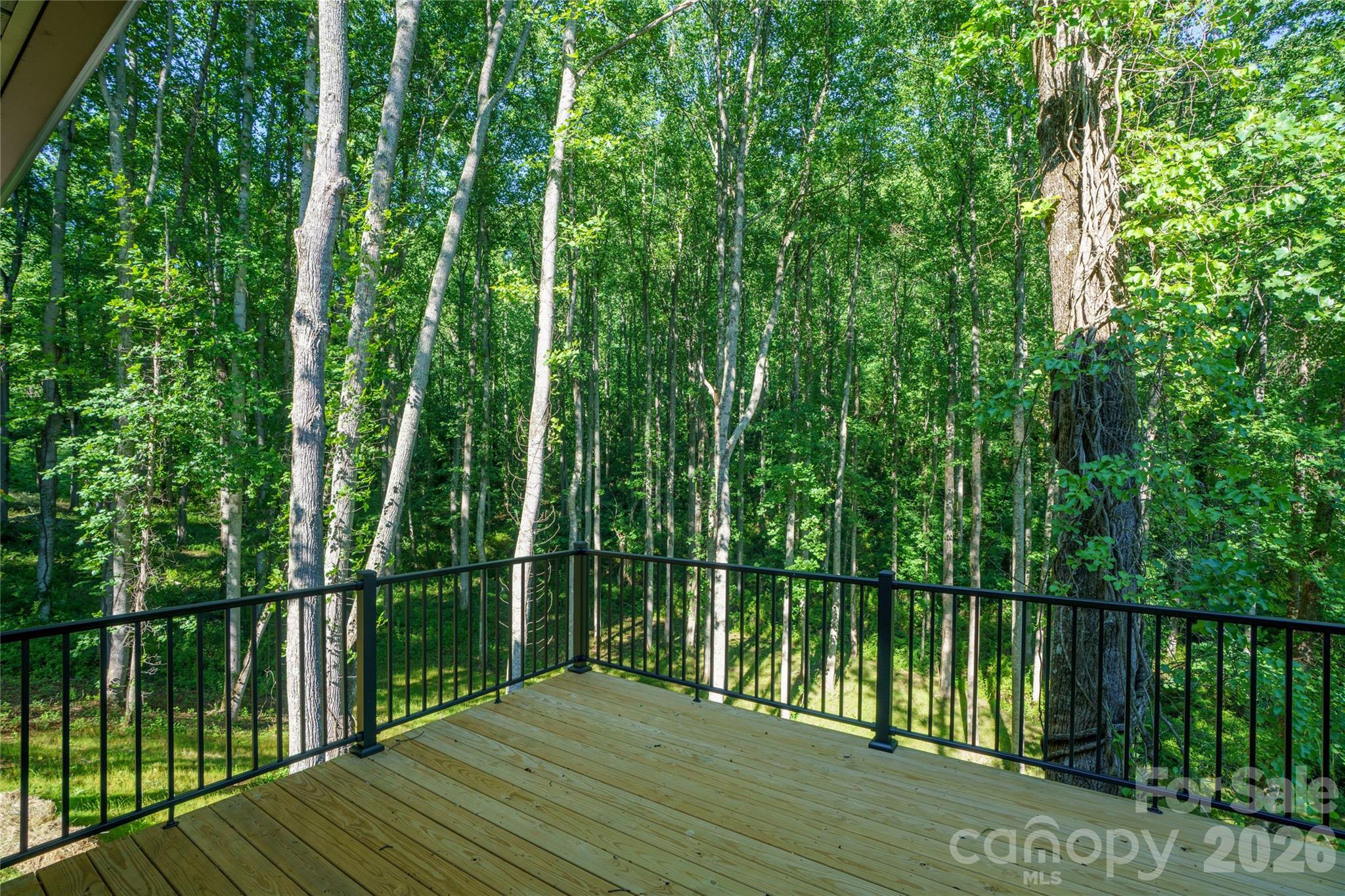 Single Family Residence at 61 Bamboo Trail, Candler, photo 7 of 41