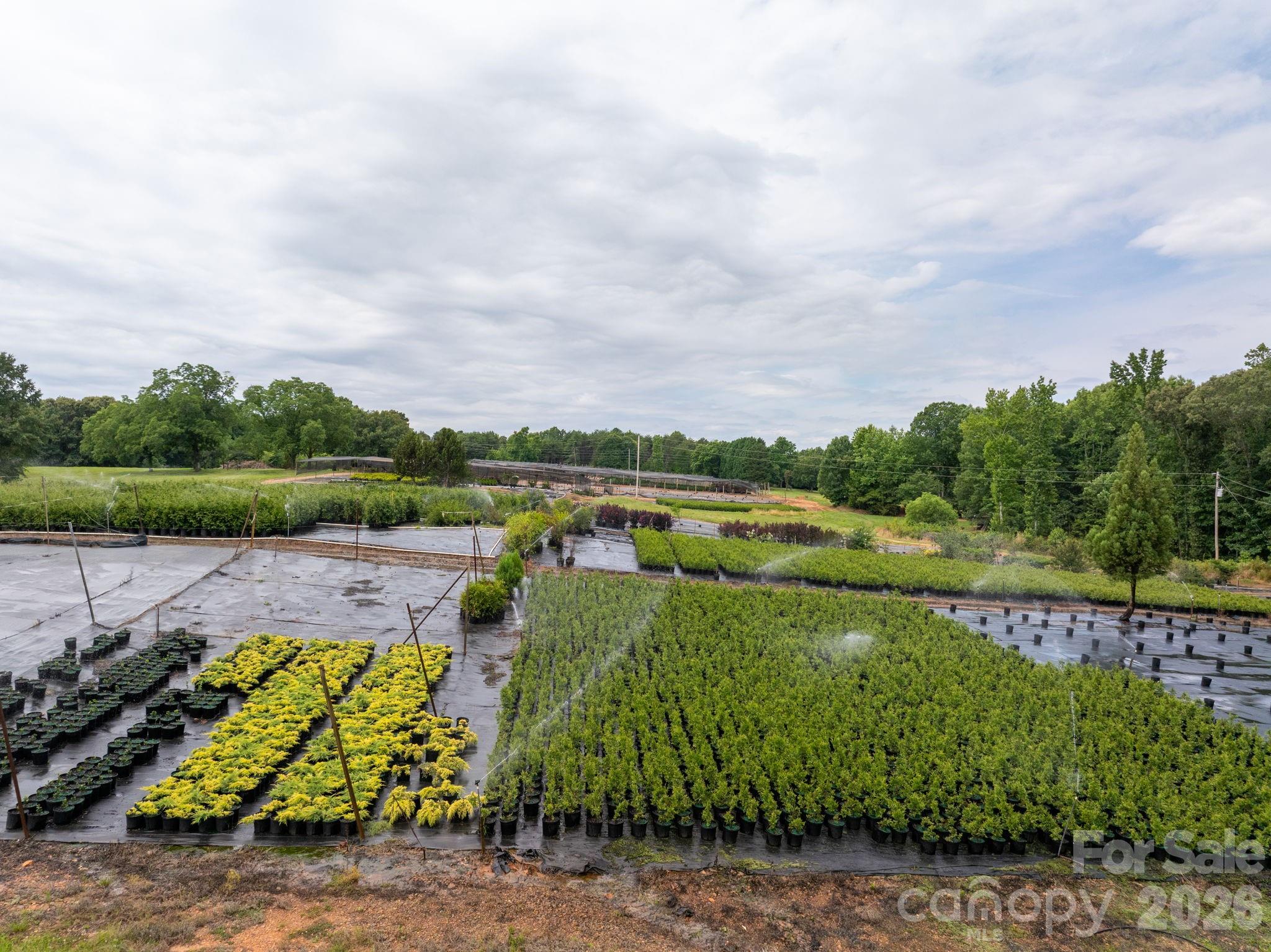Farm at 1350 Lee Cudd Road, Rutherfordton, photo 3 of 38