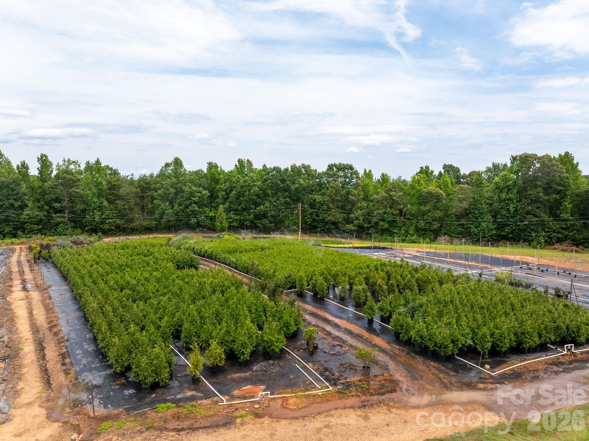 Farm at 1350 Lee Cudd Road, Rutherfordton, photo 4 of 38