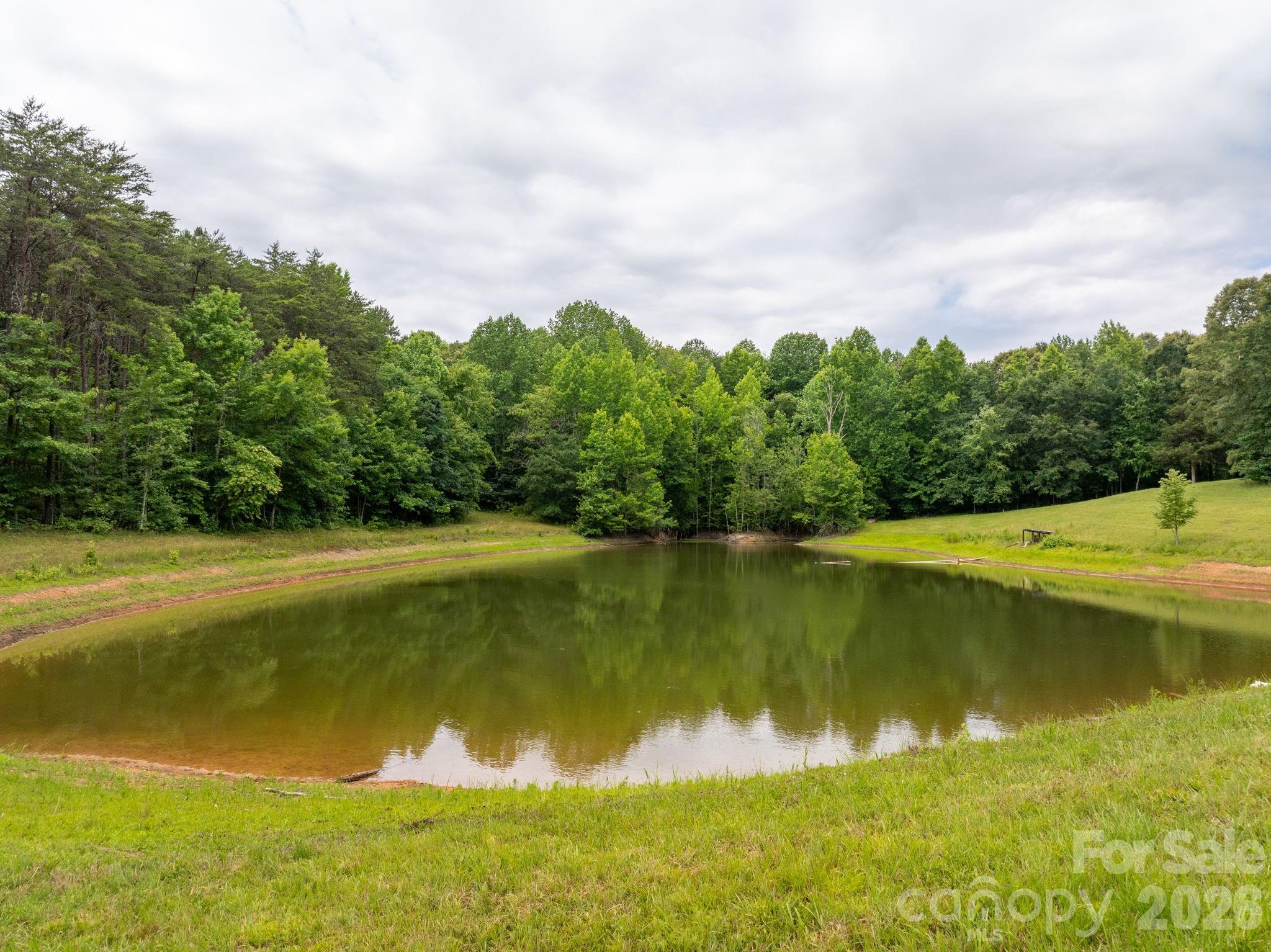 Farm at 1350 Lee Cudd Road, Rutherfordton, photo 8 of 38