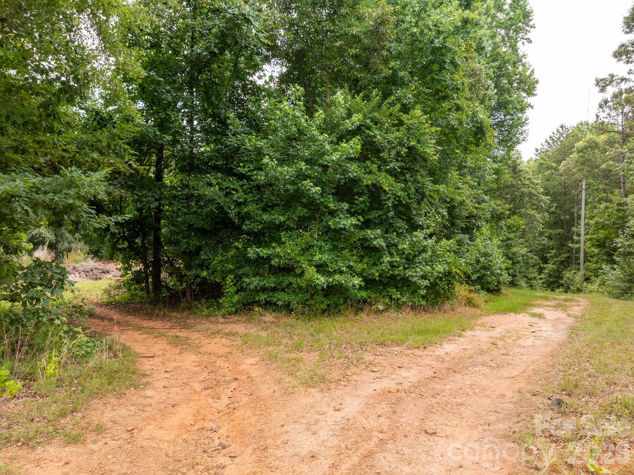 Farm at 1350 Lee Cudd Road, Rutherfordton, photo 10 of 38