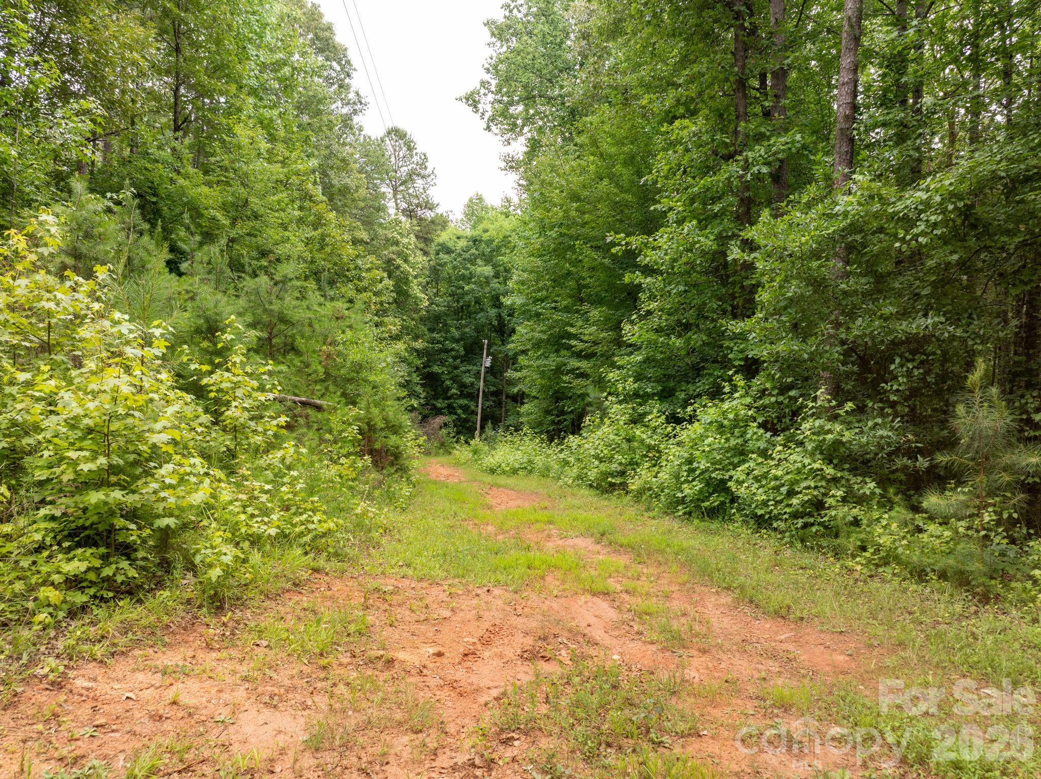Farm at 1350 Lee Cudd Road, Rutherfordton, photo 11 of 38