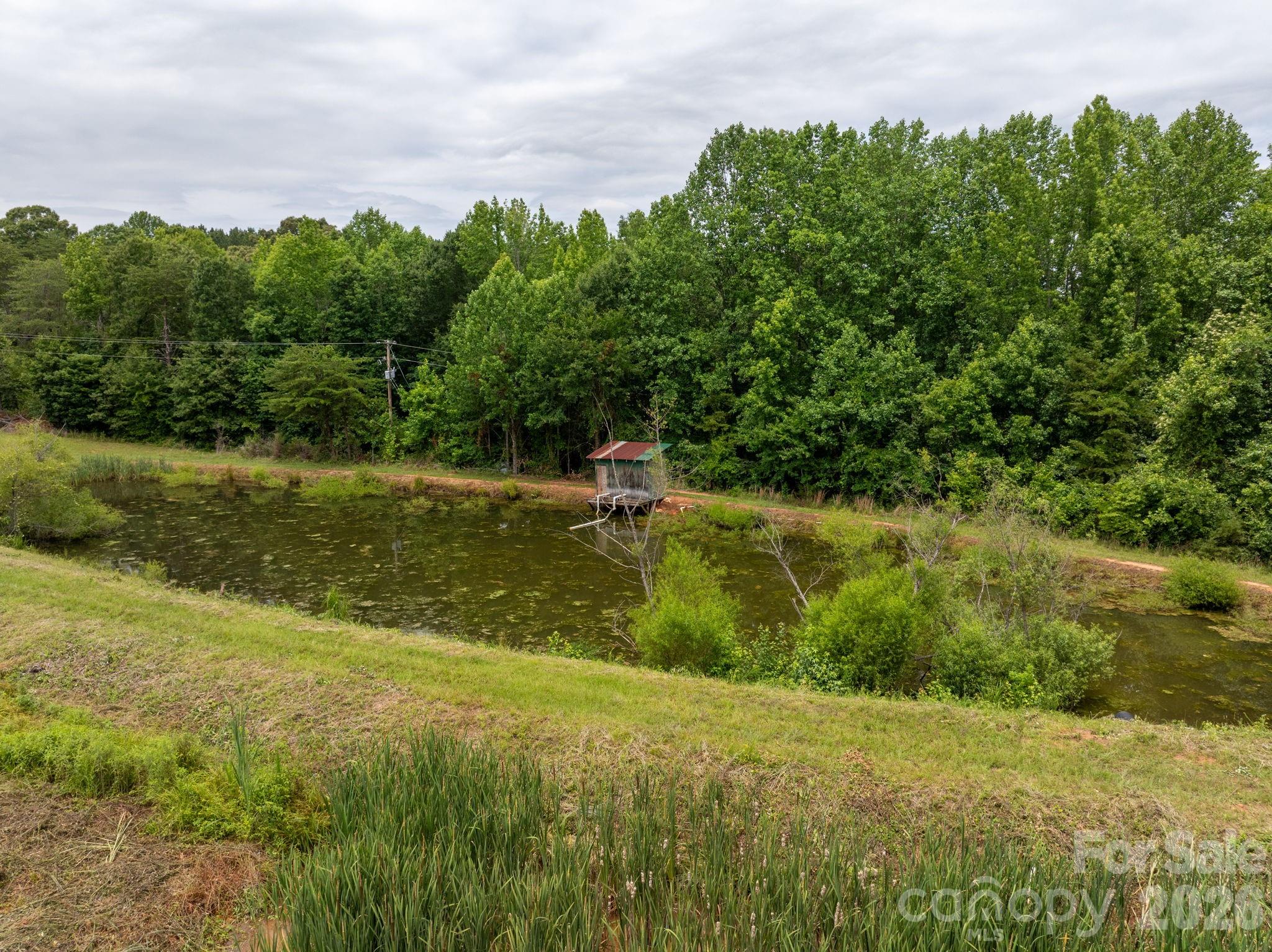 Farm at 1350 Lee Cudd Road, Rutherfordton, photo 12 of 38