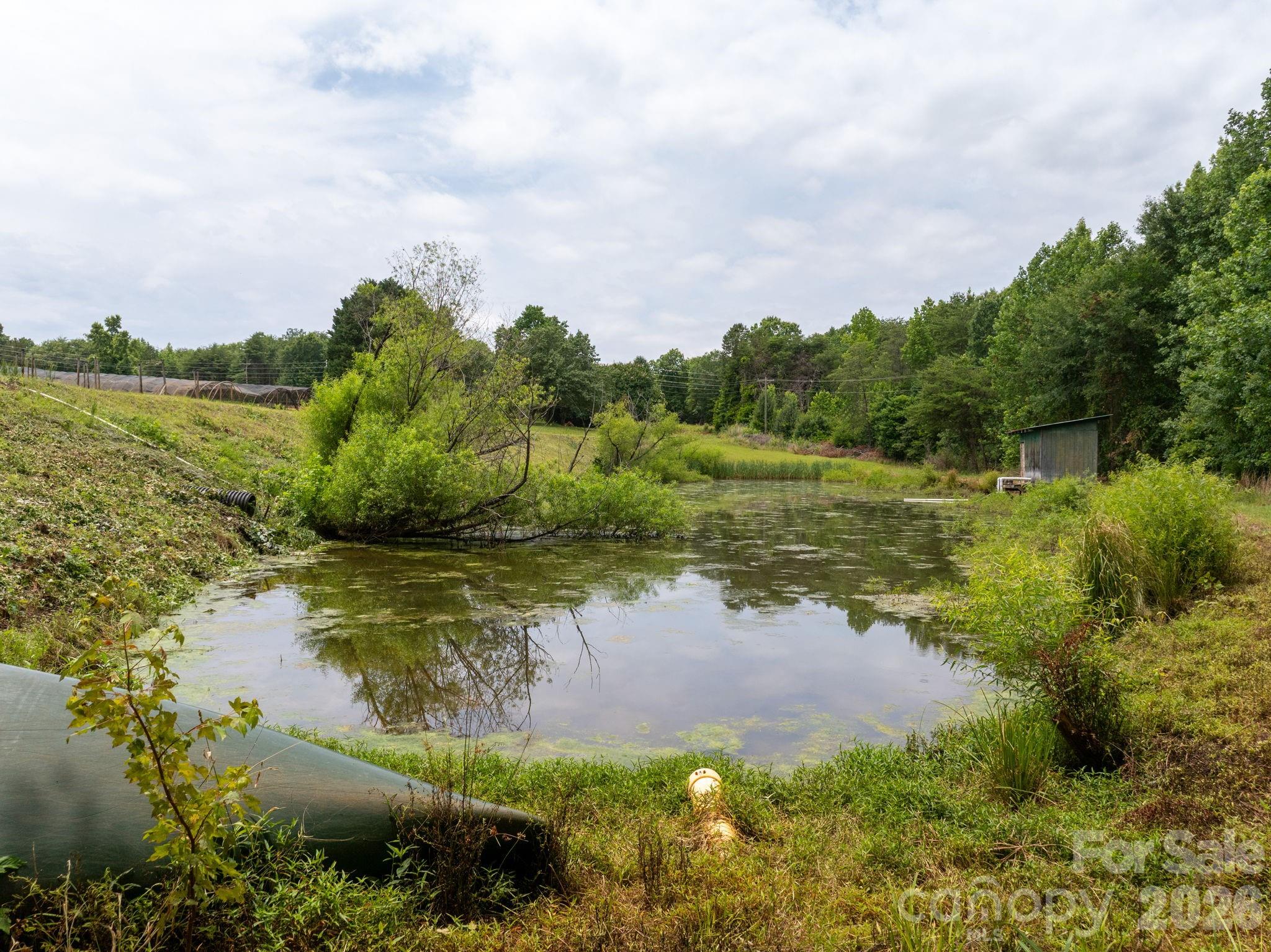 Farm at 1350 Lee Cudd Road, Rutherfordton, photo 13 of 38