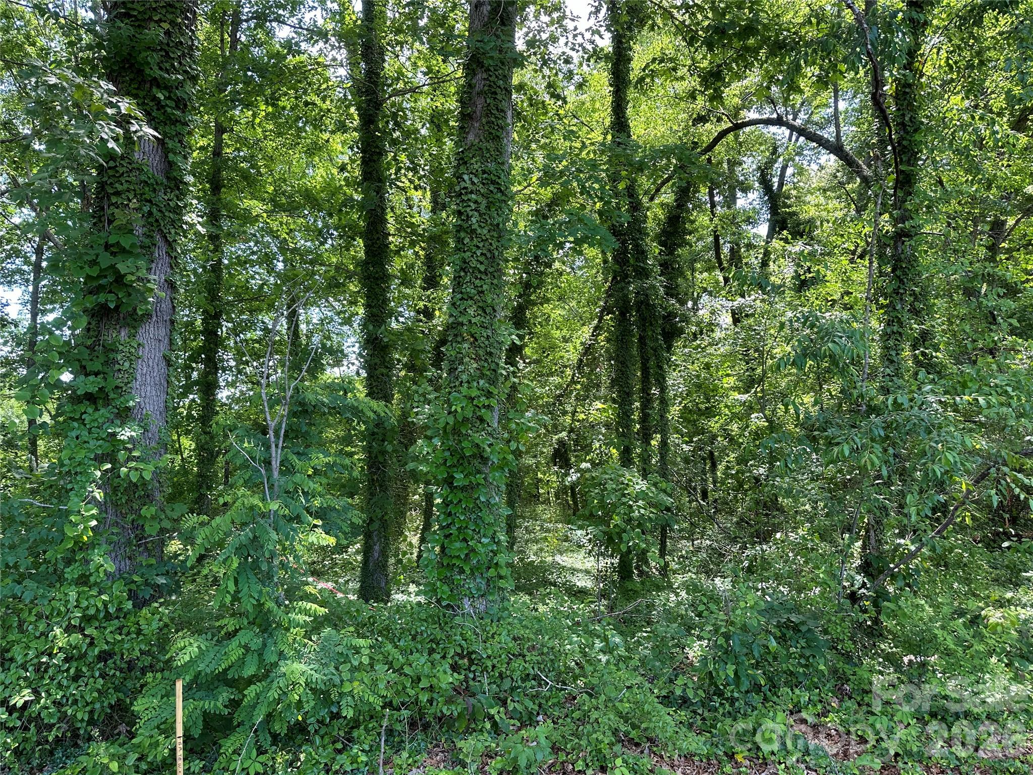 Lot at 25 Oak Hill Drive, Asheville, photo 23 of 23