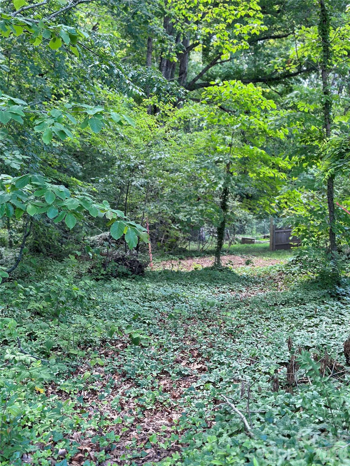 Lot at 25 Oak Hill Drive, Asheville, photo 19 of 23