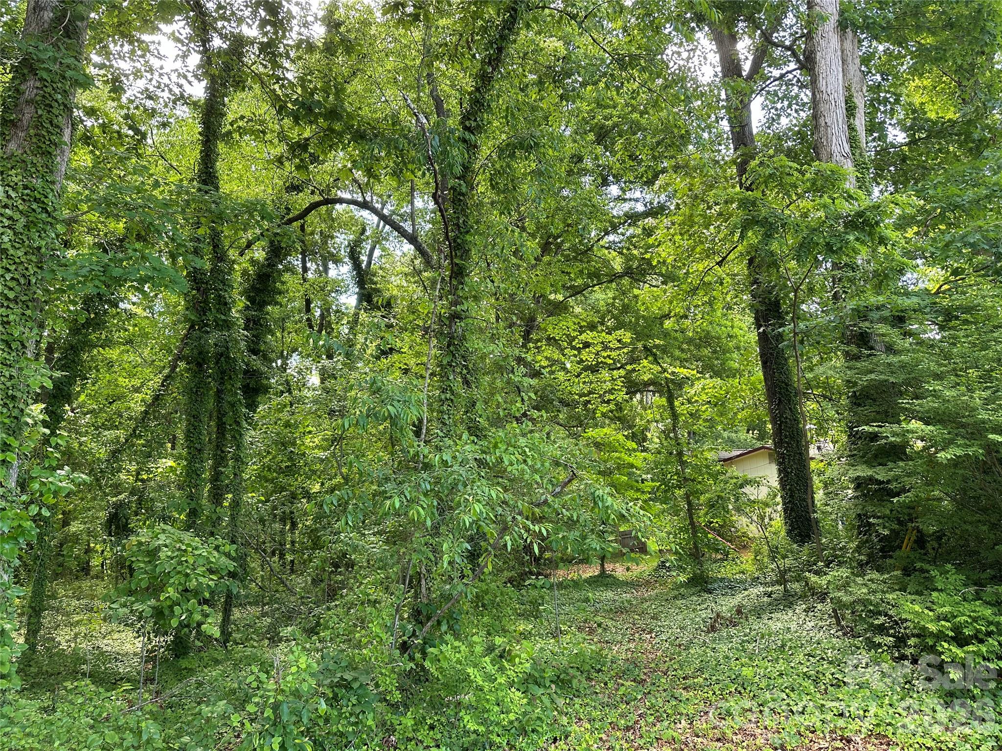 Lot at 25 Oak Hill Drive, Asheville, photo 20 of 23