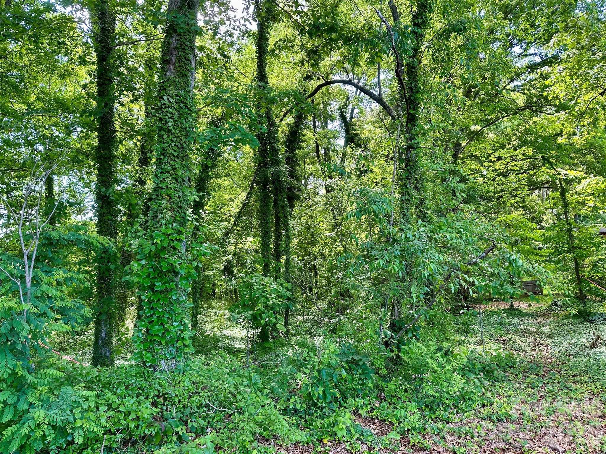 Lot at 25 Oak Hill Drive, Asheville, photo 21 of 23