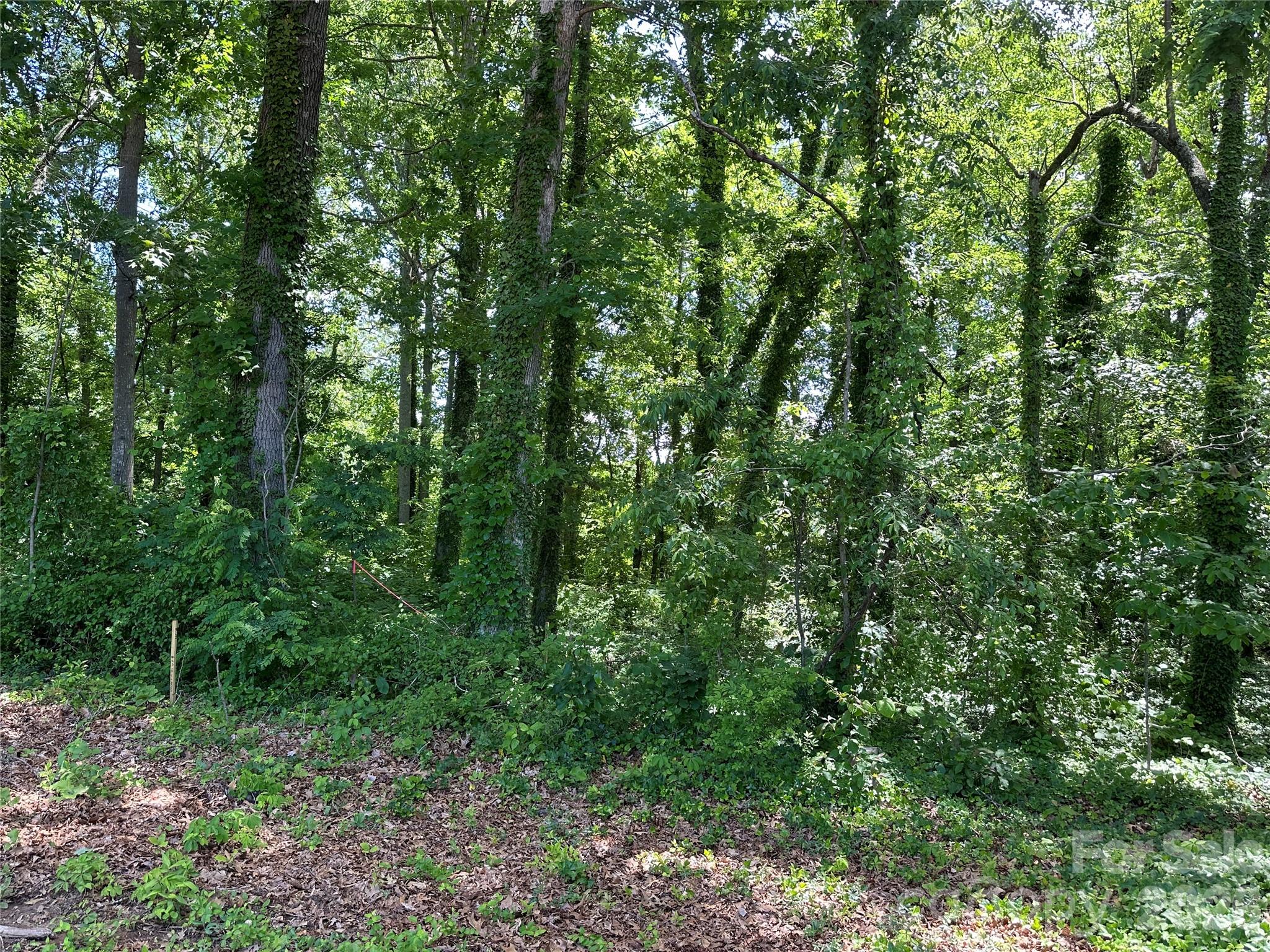 Lot at 25 Oak Hill Drive, Asheville, photo 22 of 23